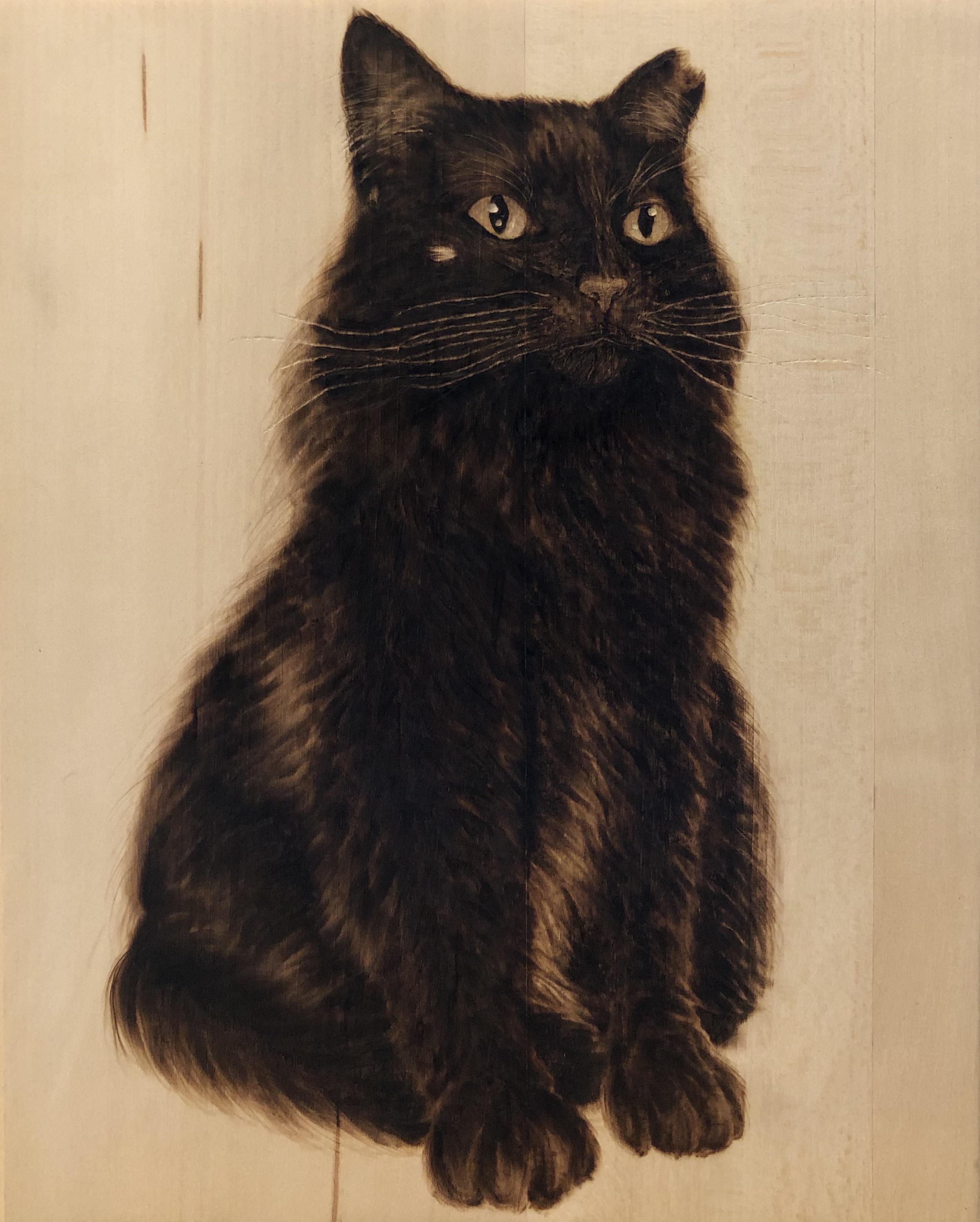 Everyone Meet Blooper Scrolller