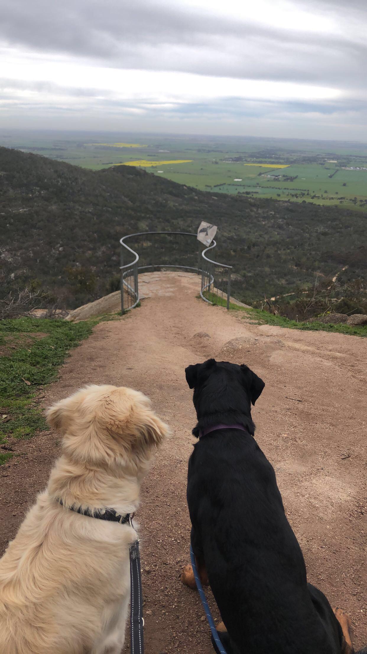 “Everything the light touches is our kingdom” (Murphy to Archie ...