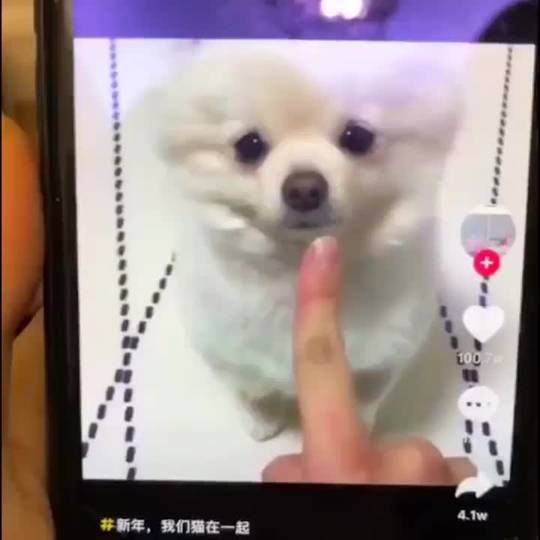 Expectations Vs Reality Scrolller