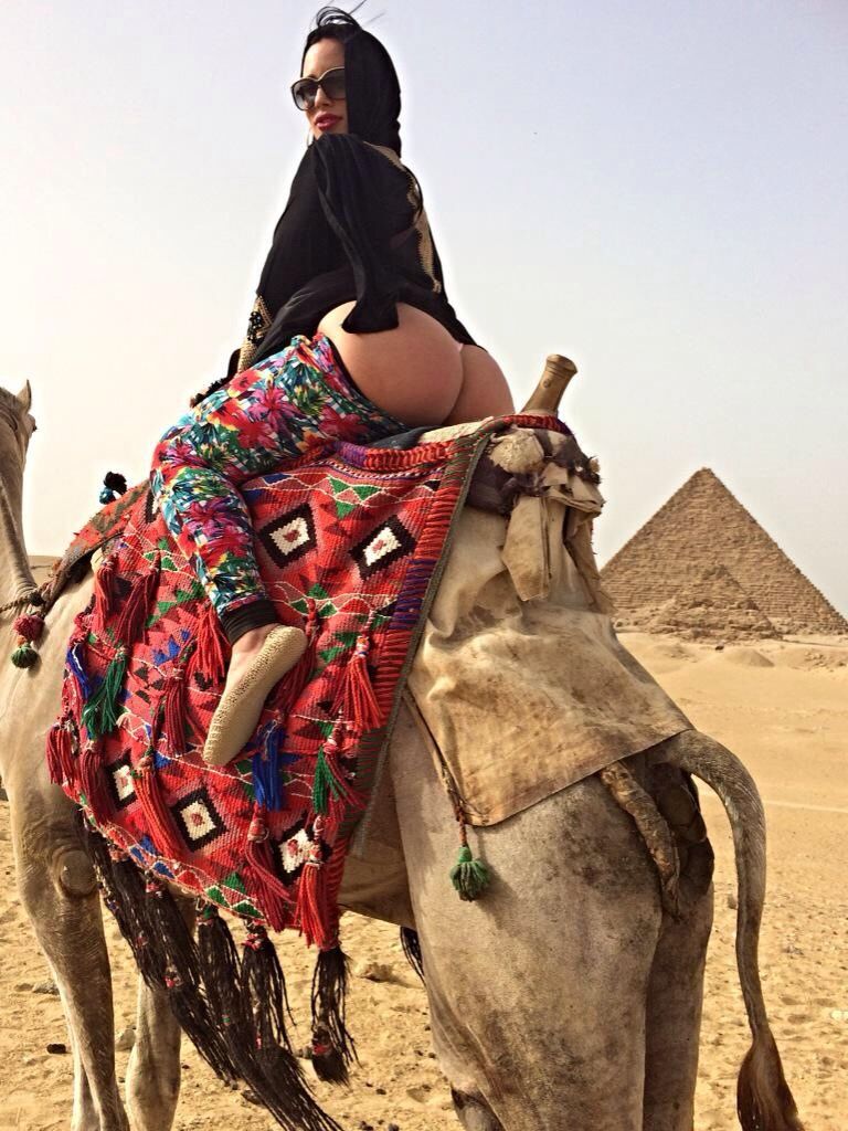 Fat Ass Riding A Camel Scrolller