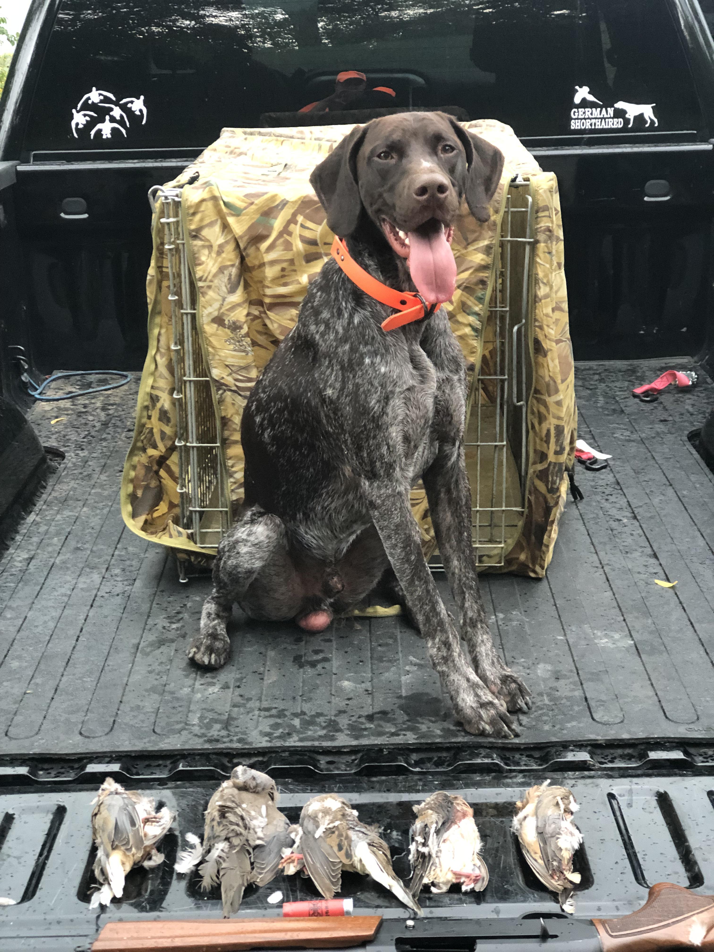 First timers on dove opening day; had a blast! Scrolller