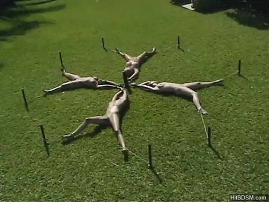 For Conan, there was the Wheel of Pain. For slavegirls, there is the Wheel of Tan.