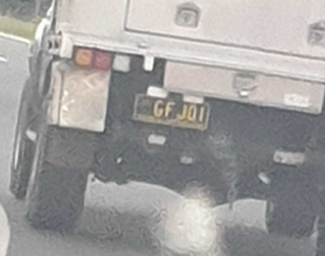 Found a fan in the wild. Fap on my friend, fap on.
