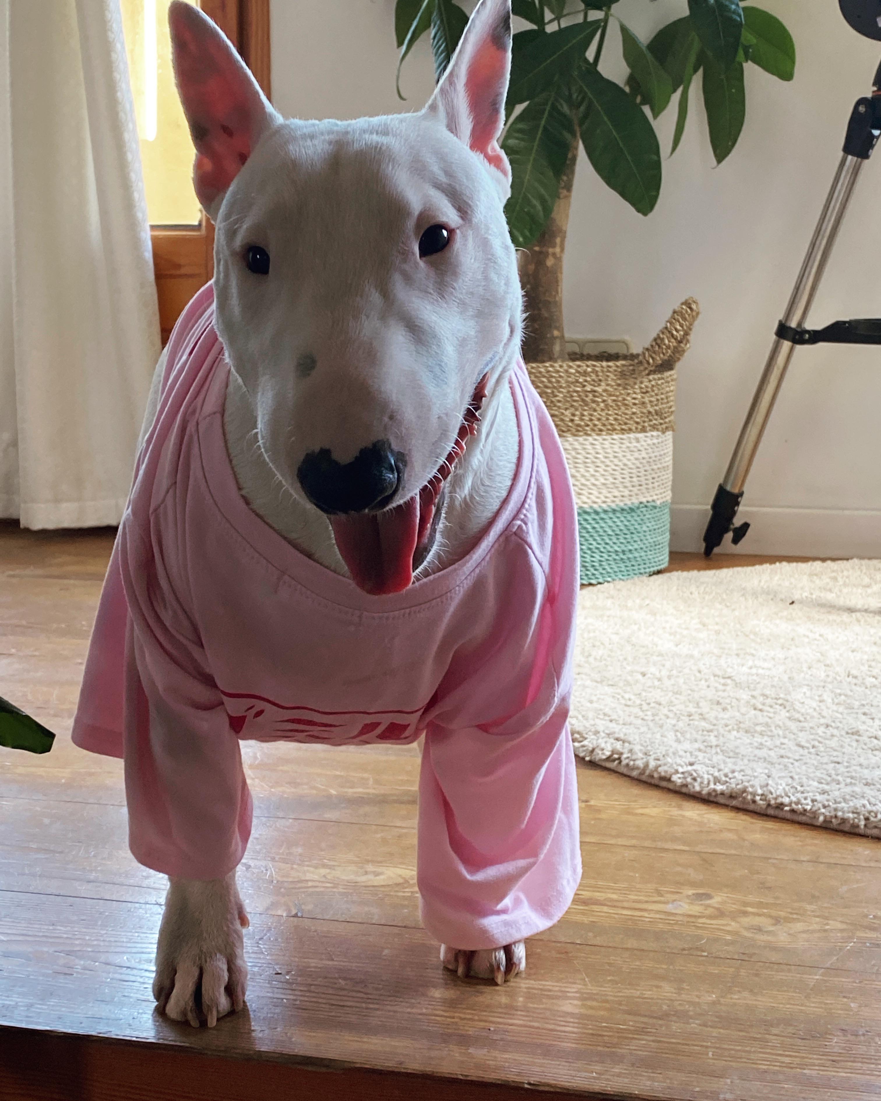 good-boy-banana-is-always-smiling-scrolller