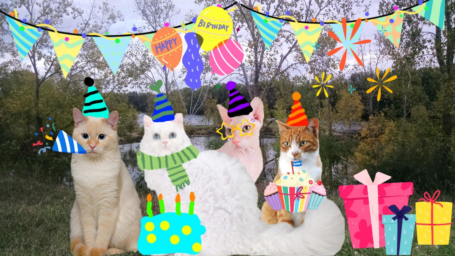 Happy birthday Sykkuno! You probably won’t see it but here’s the