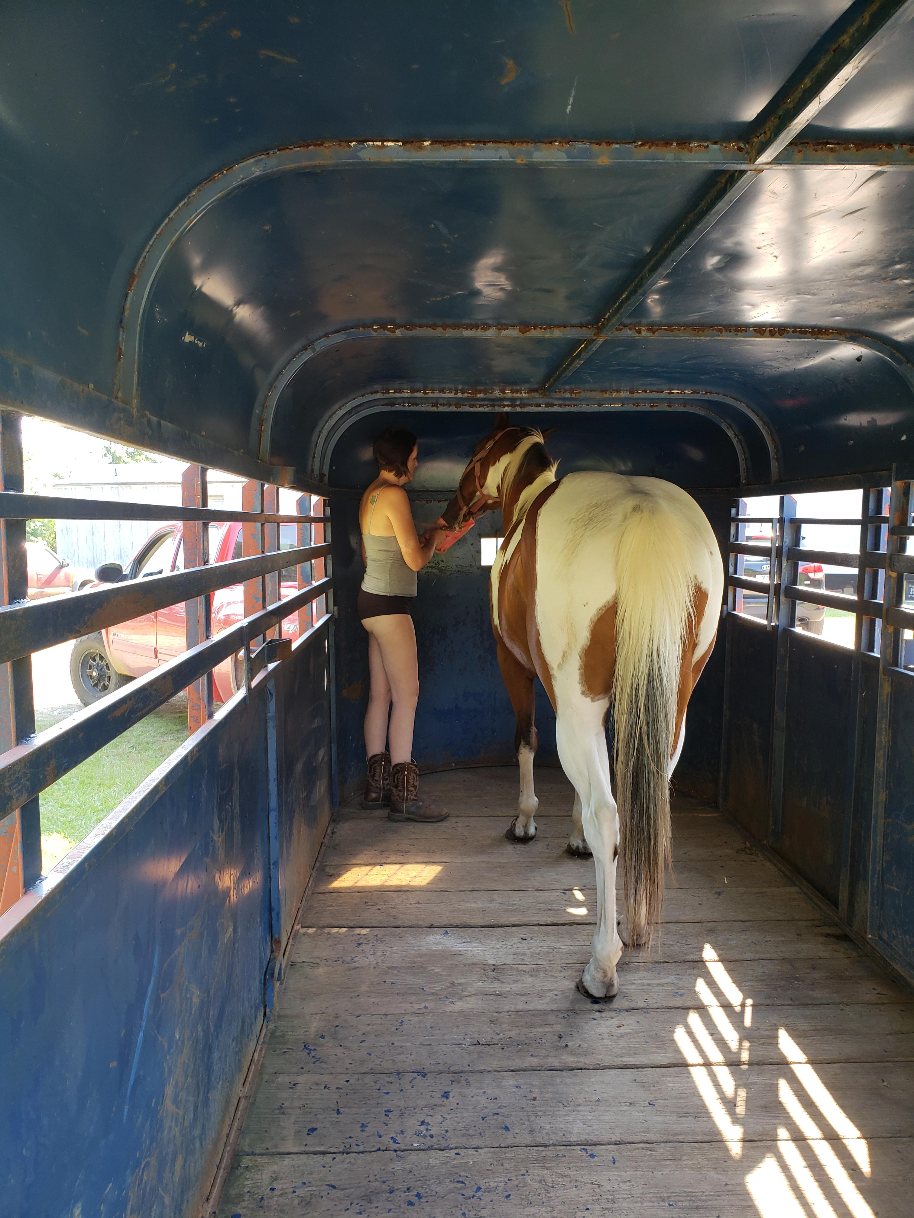 Horse wrangler Scrolller