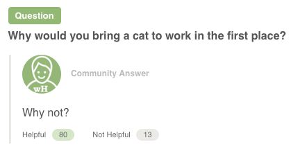 How to Sneak Your Cat Into Work | Scrolller