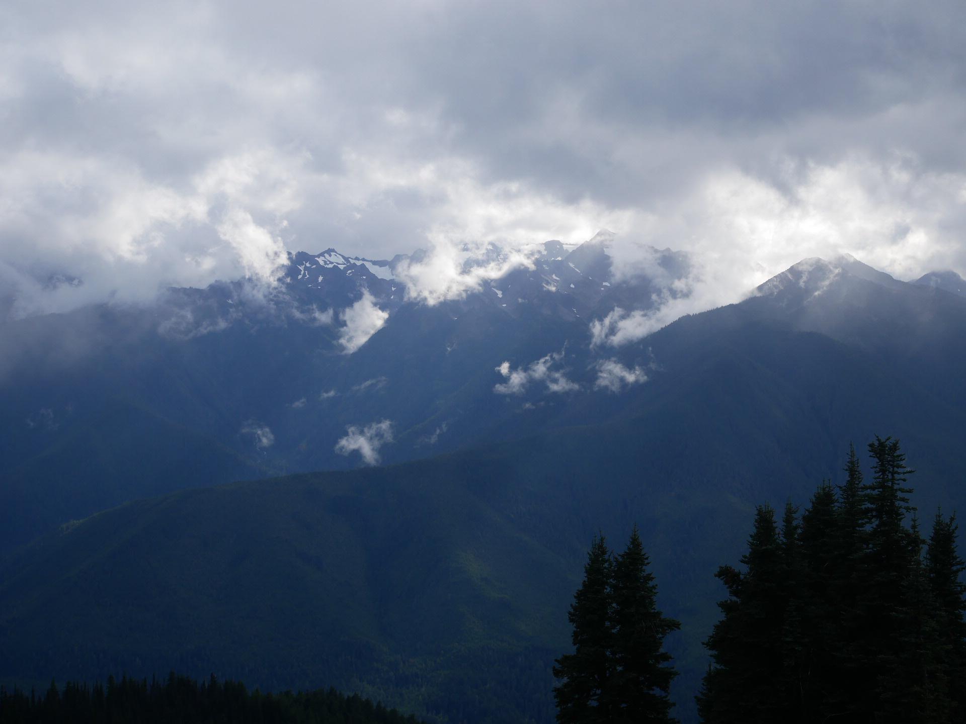 Hurricane Ridge, Washington [OC][1920x1440] | Scrolller