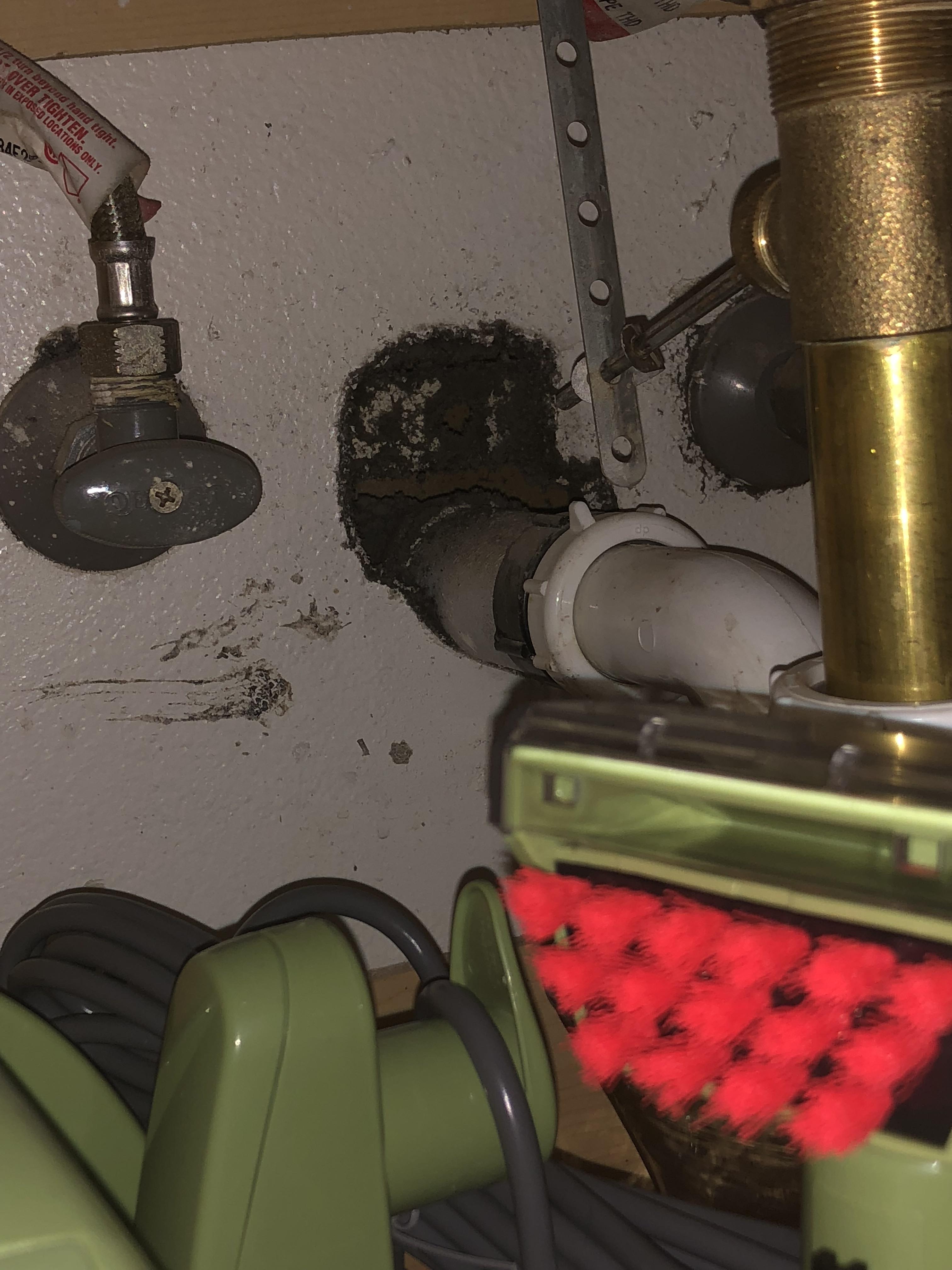 Raerockhold: Moving On From The Leak - dyxc52p