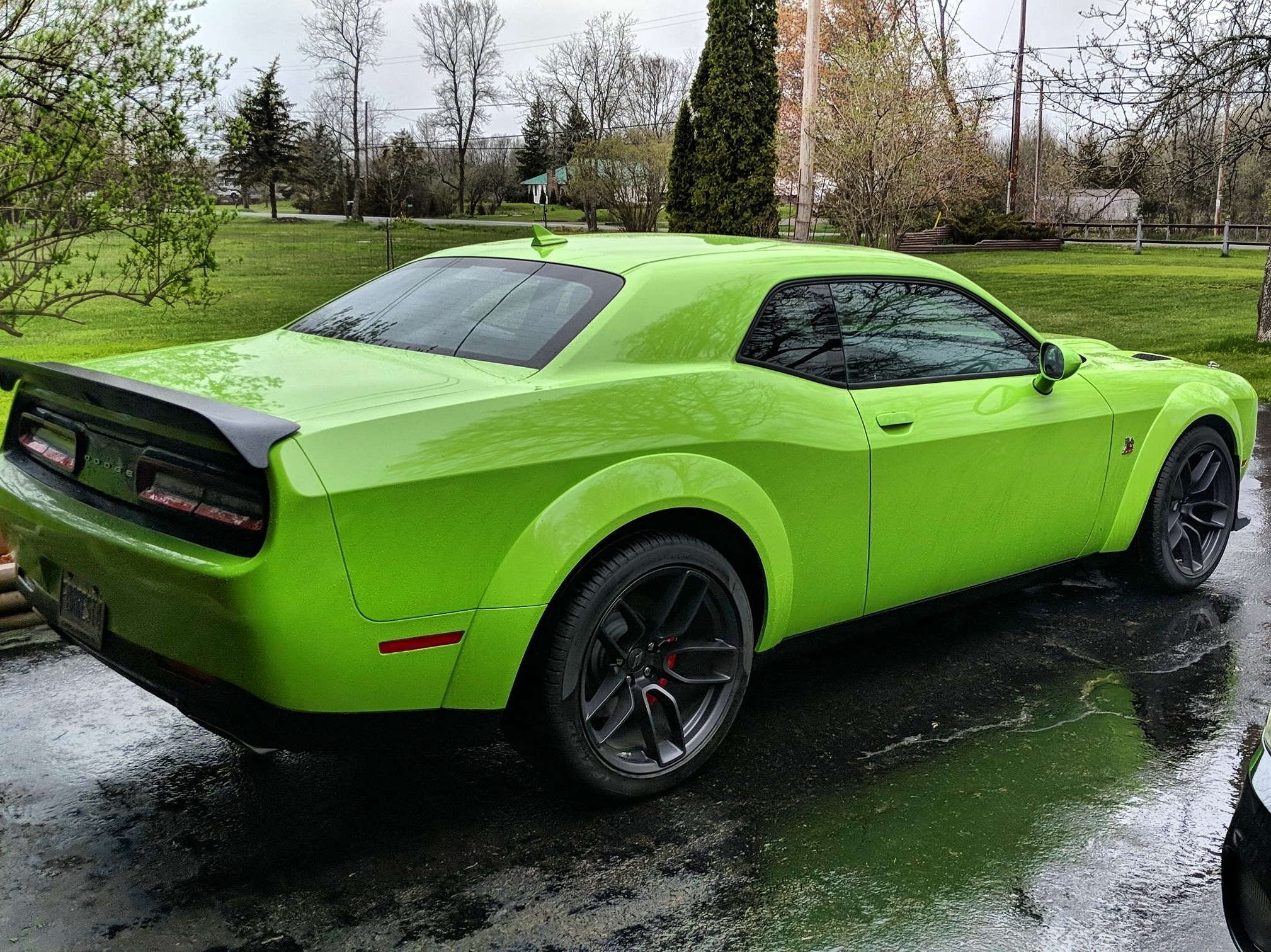 I love these demon rims and the new barracuda spoiler on the widebodys ...