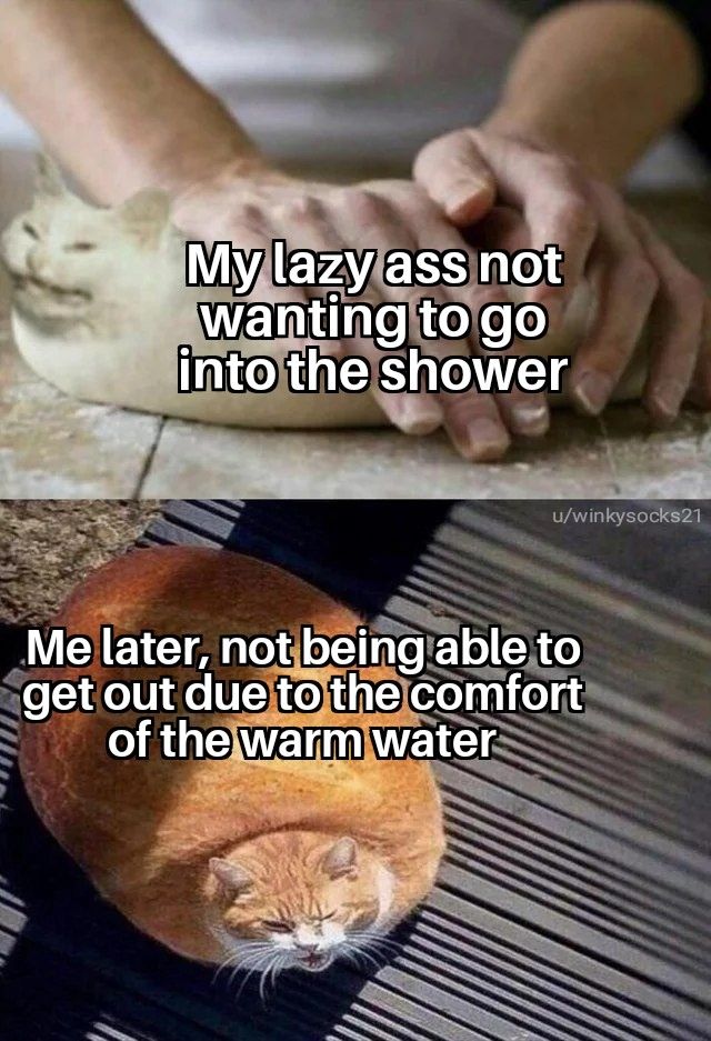 It's a vicious cycle | Scrolller