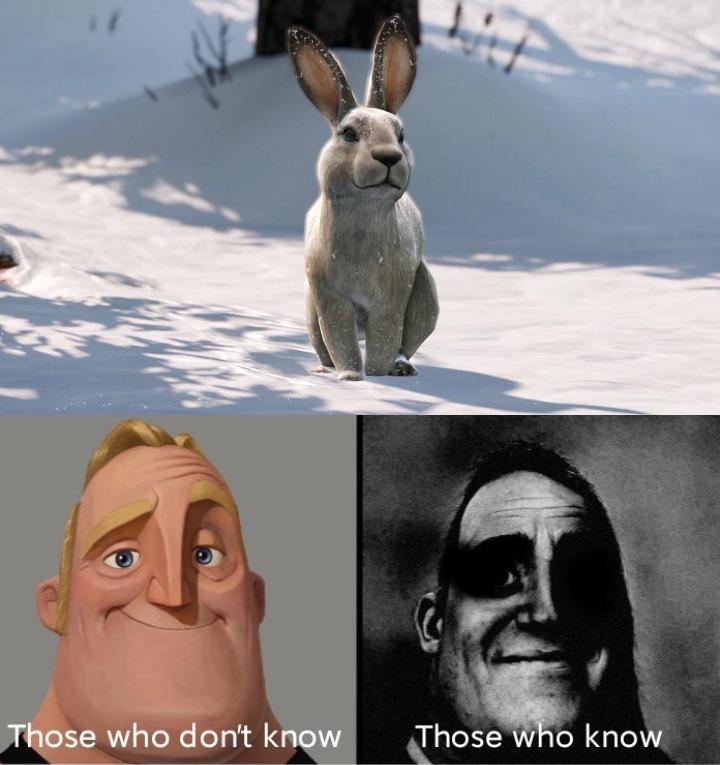 It's just a rabbit | Scrolller