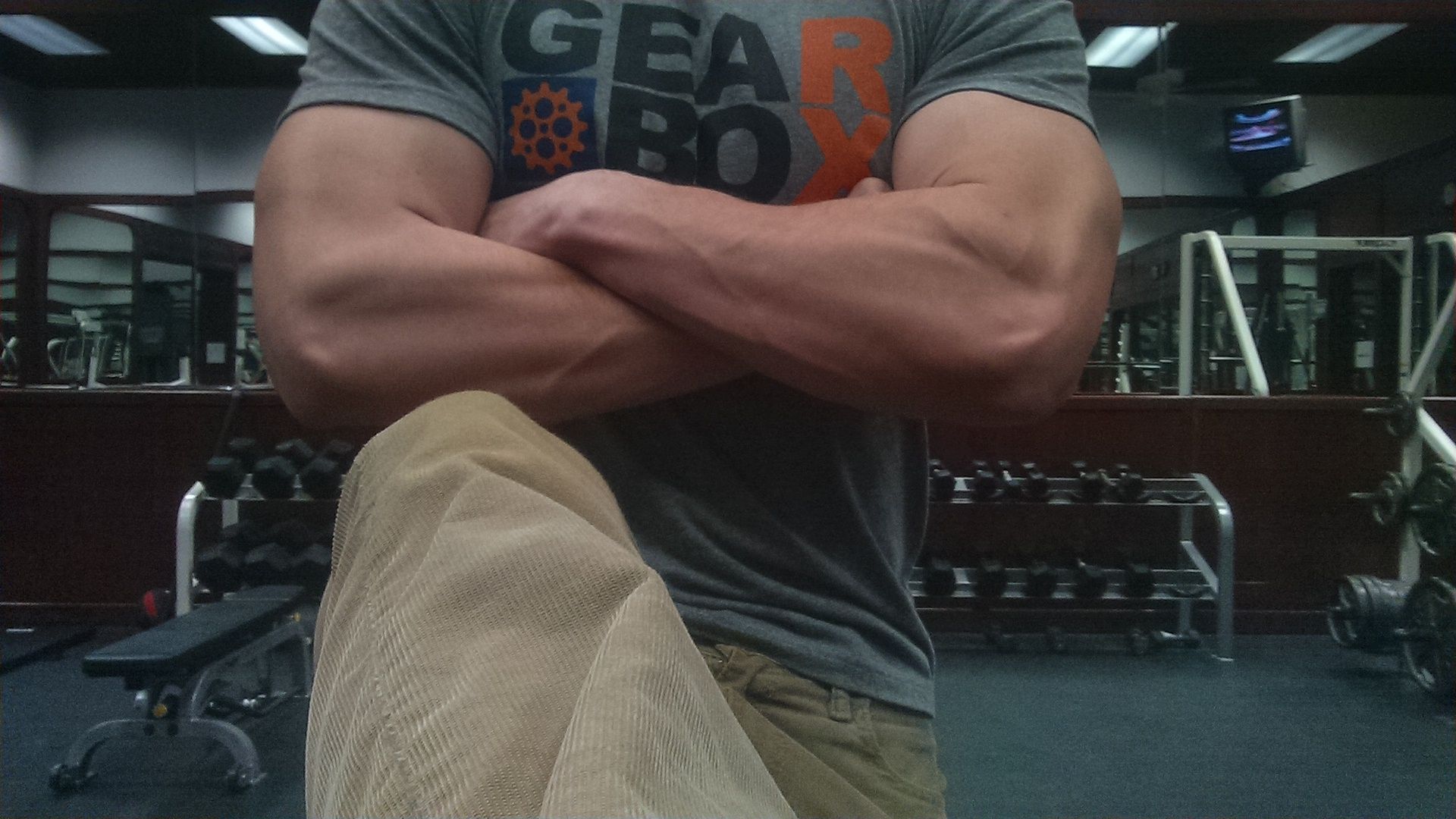 Just your average forearm picture! Scrolller