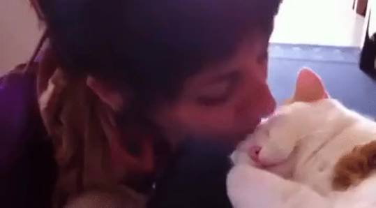 Kiss Kiss Meow Meow (x r/aww)
