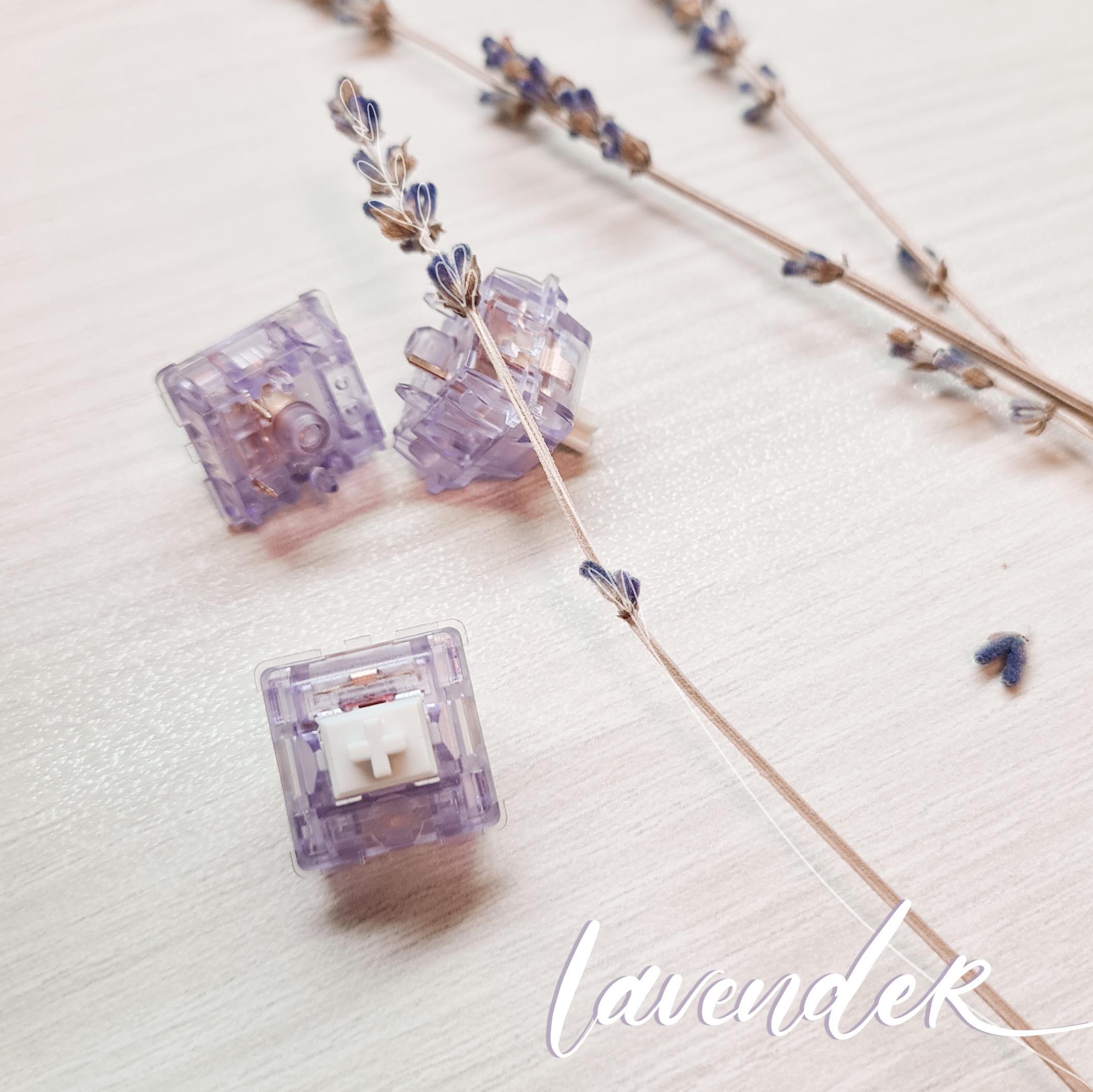 Lavender Lavender Scrolller