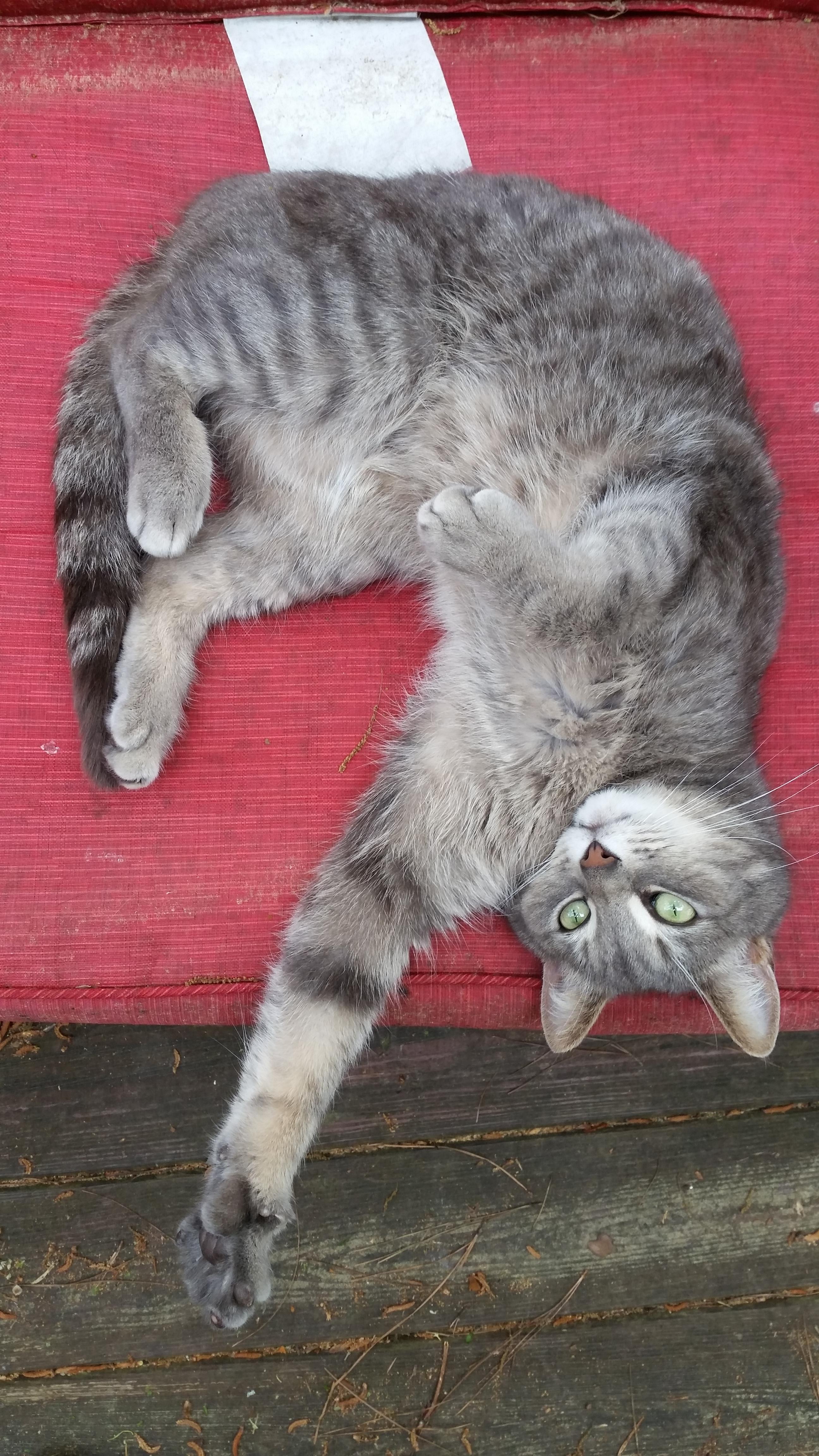 Lay one on me! Scrolller