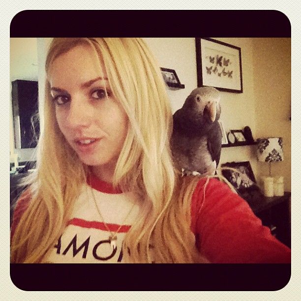 Lexi Belle And Her Parrot Scrolller