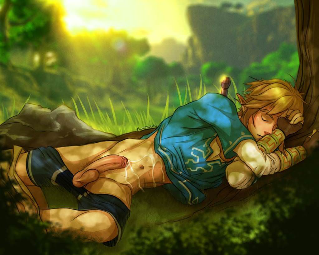 Link Sleeping Scrolller 