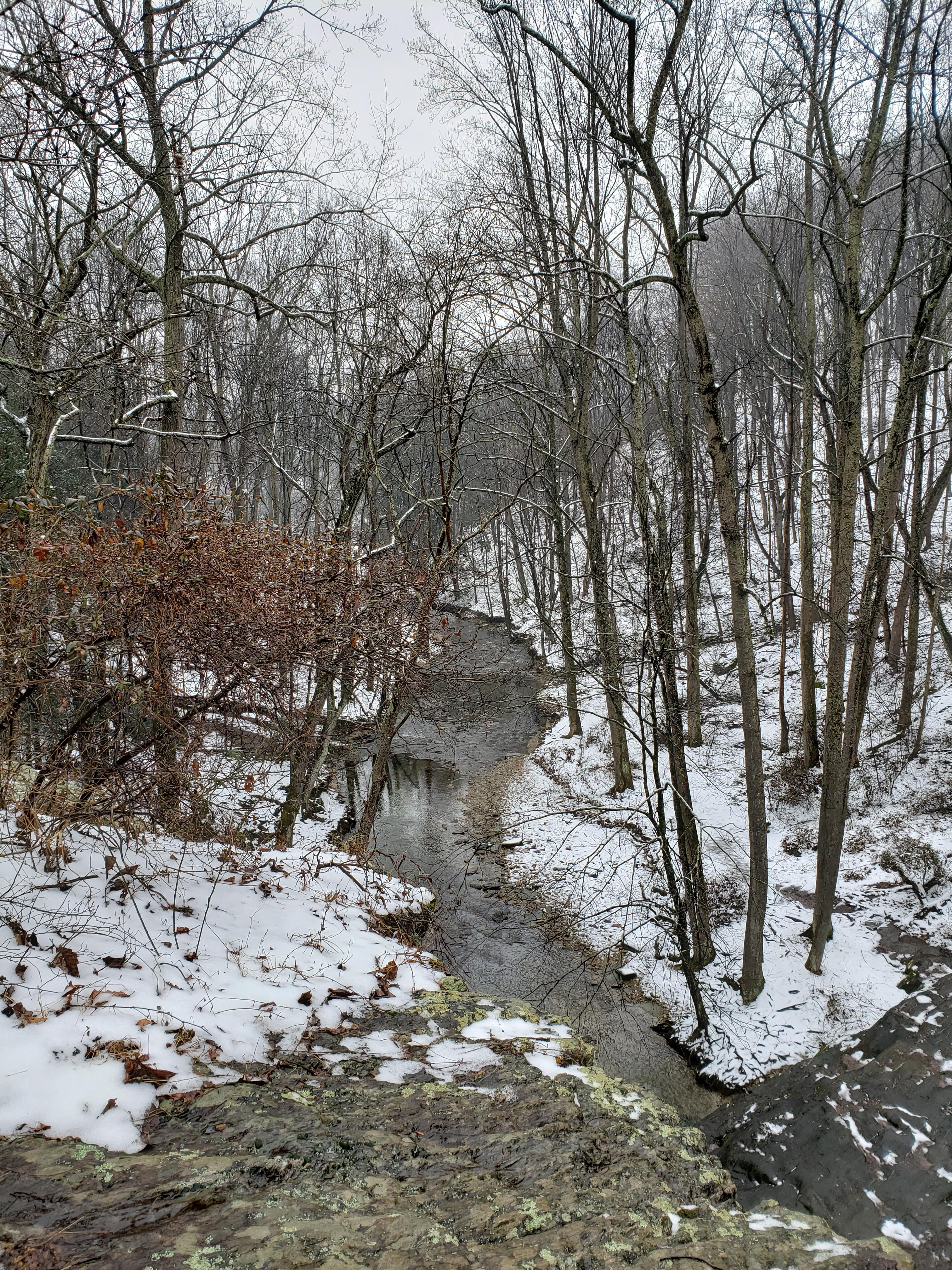Sown Stream Looking down stream. | Scrolller