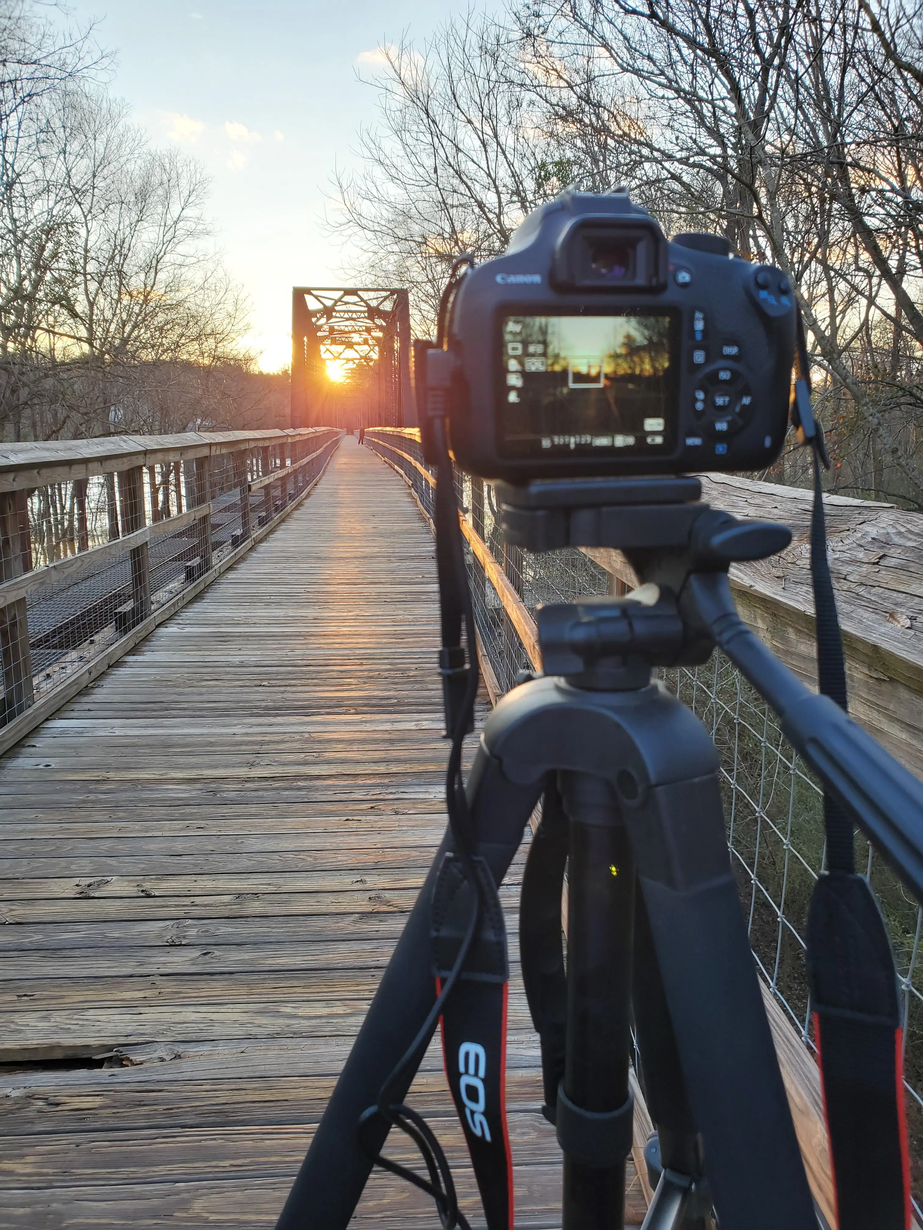 Looking for interesting photo ops | Scrolller