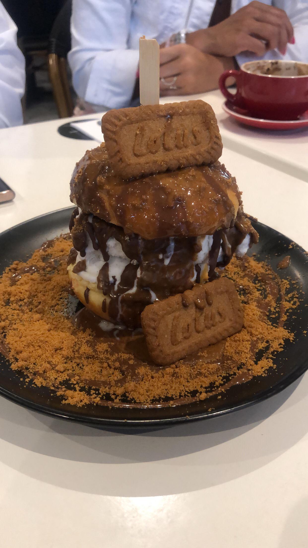 Lotus biscuit ice cream sandwich Scrolller