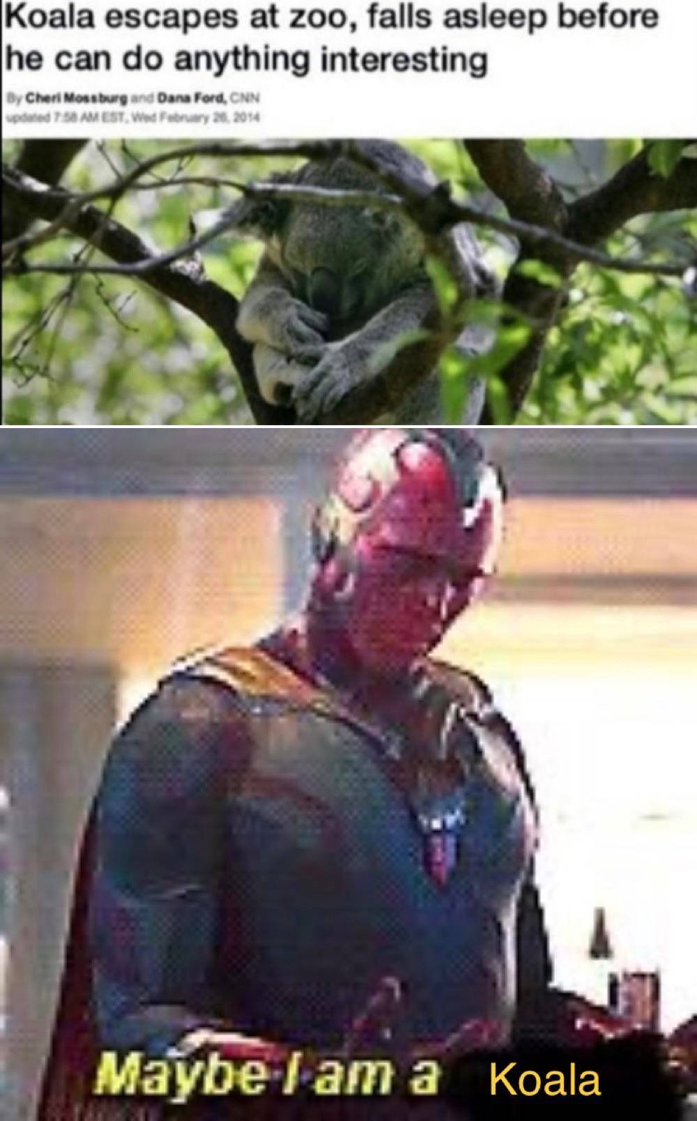 Low Effort Meme Scrolller