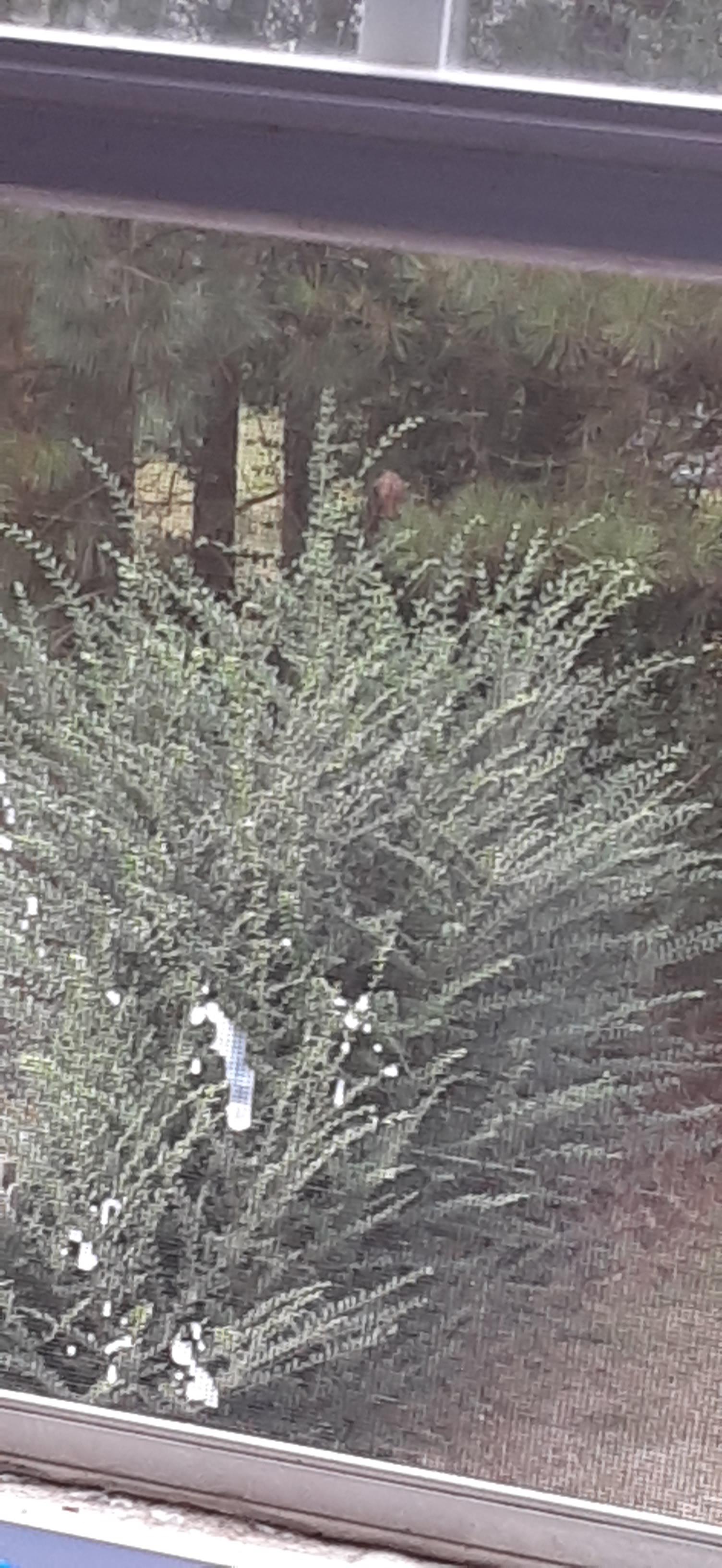 Made A Mistake Scrolller