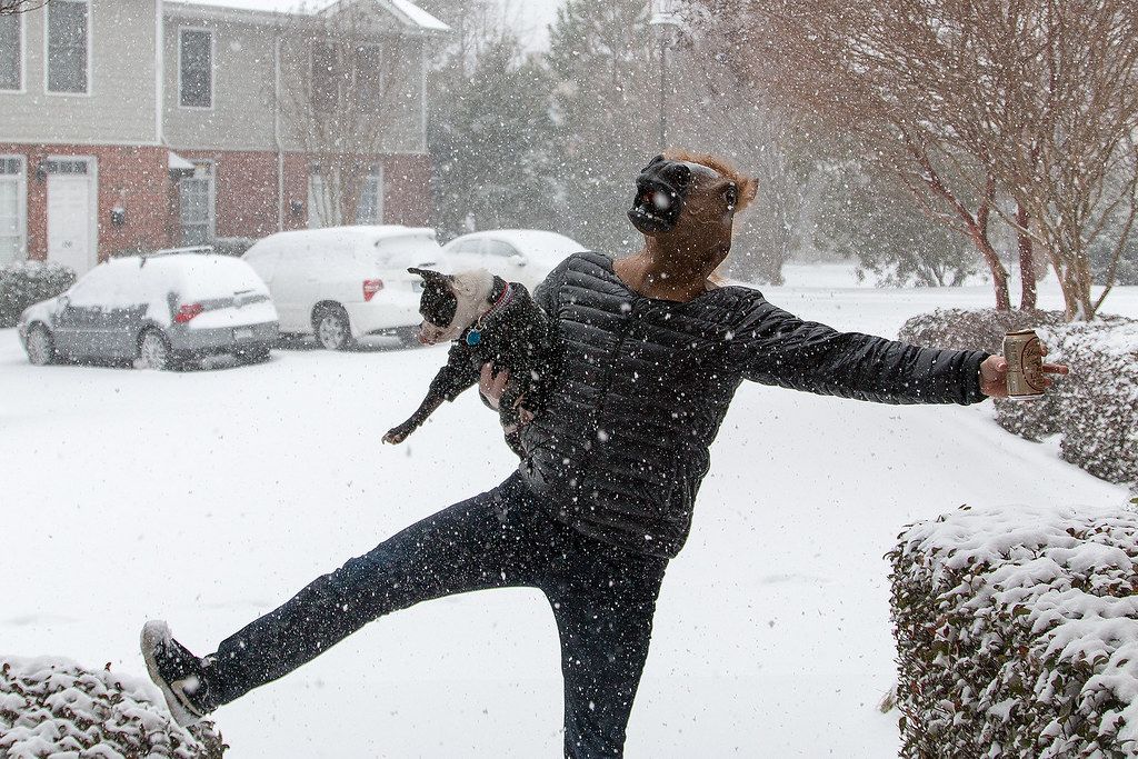 Made it home safe snow scrolller