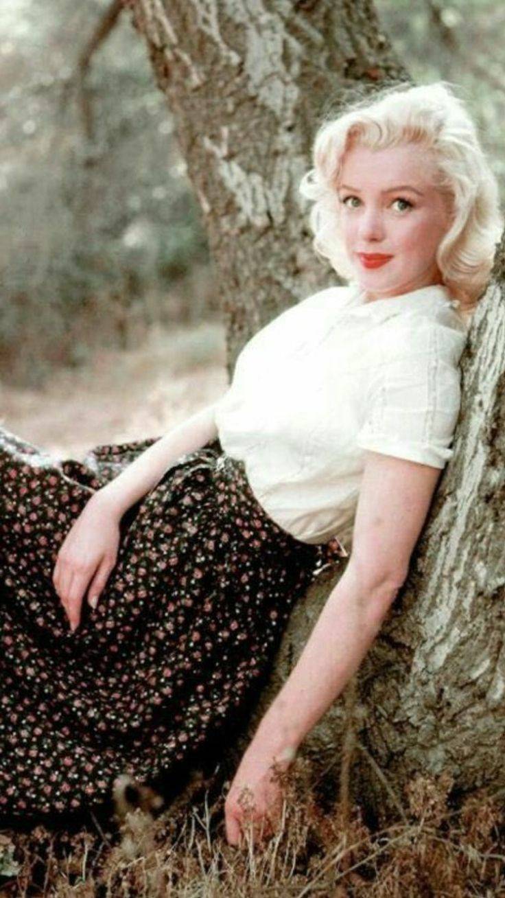 Marilyn Monroe. | Scrolller