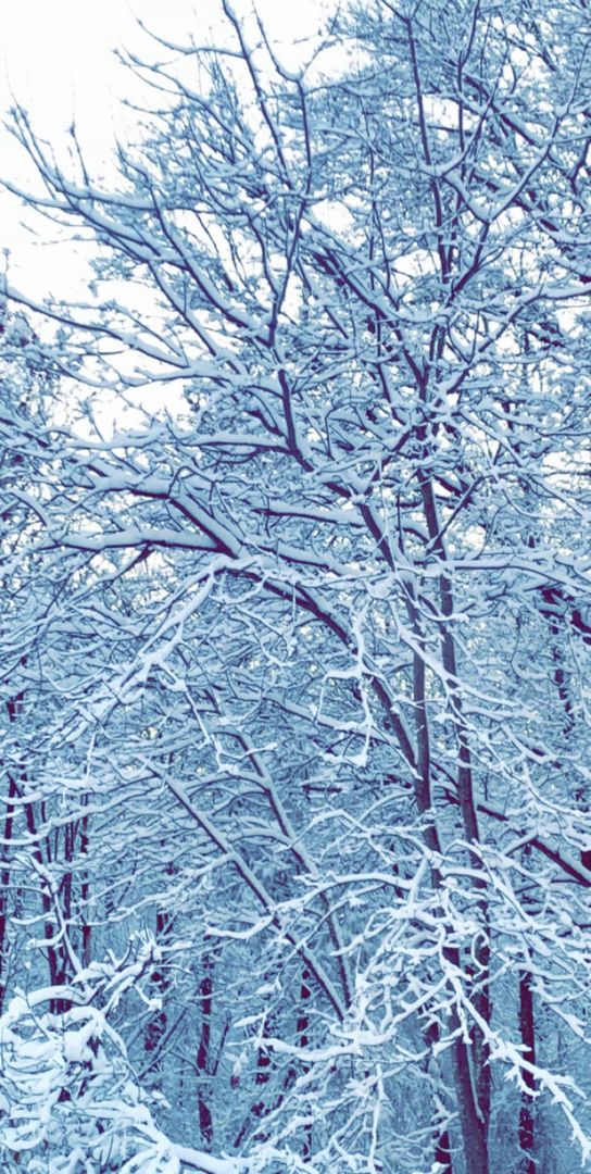 Massachusetts