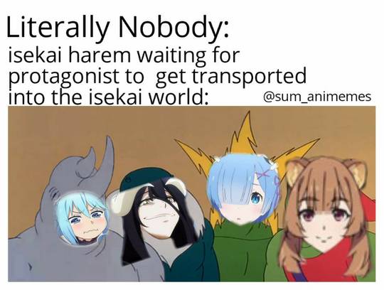 Bruh I'm tired of all these harem isekai : r/animememes