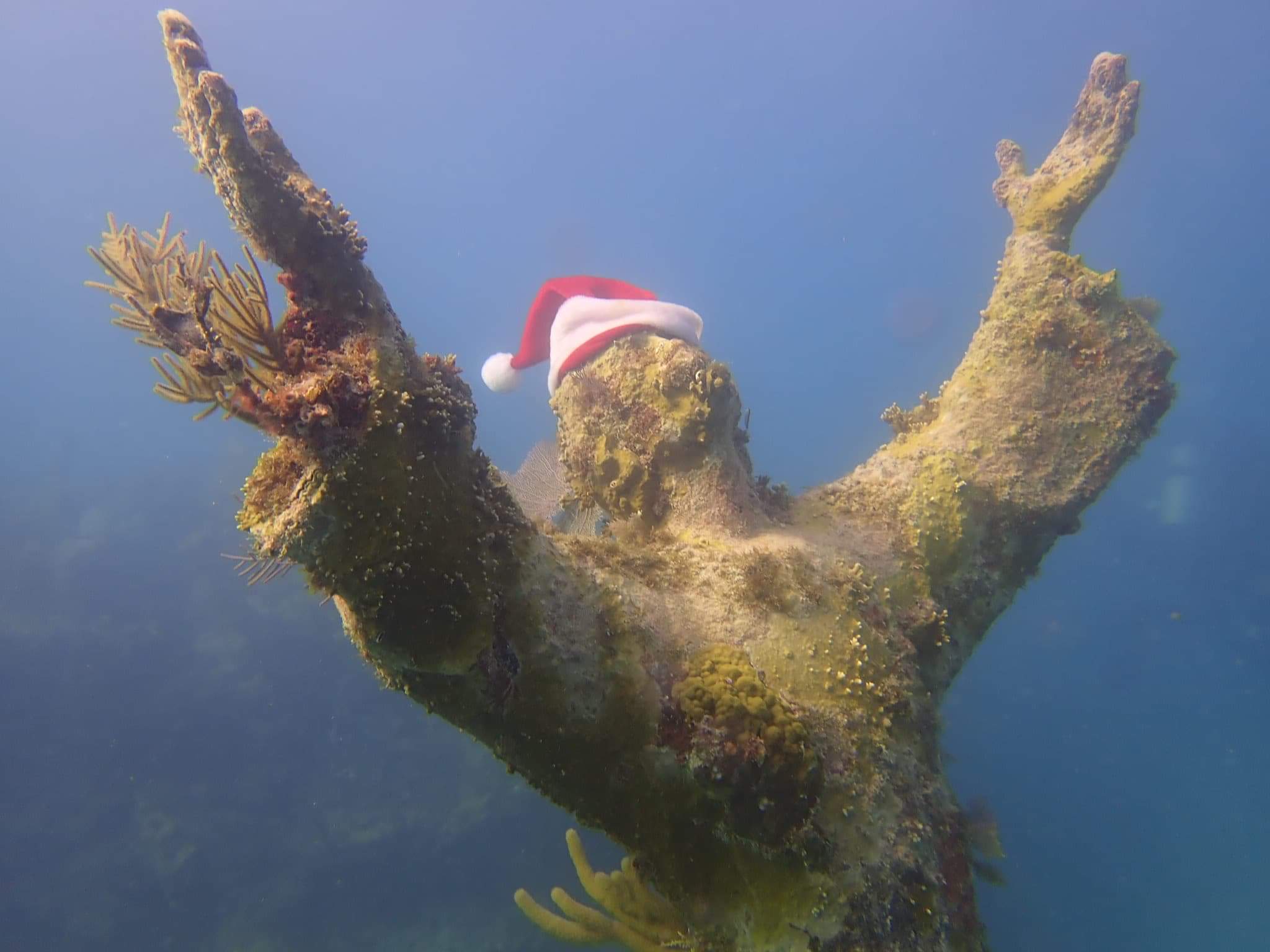 Merry Christmas from Key largo! Scrolller