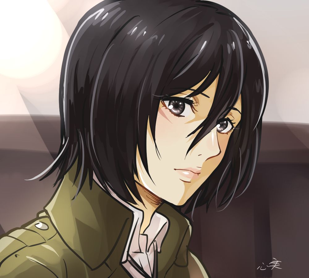 Mikasa By Kokomi Scrolller