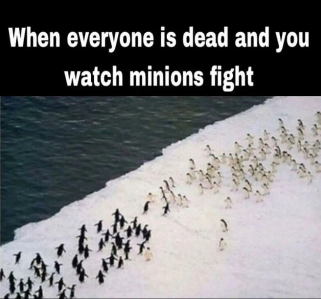 Minion Posts Minions appreciation post | Scrolller