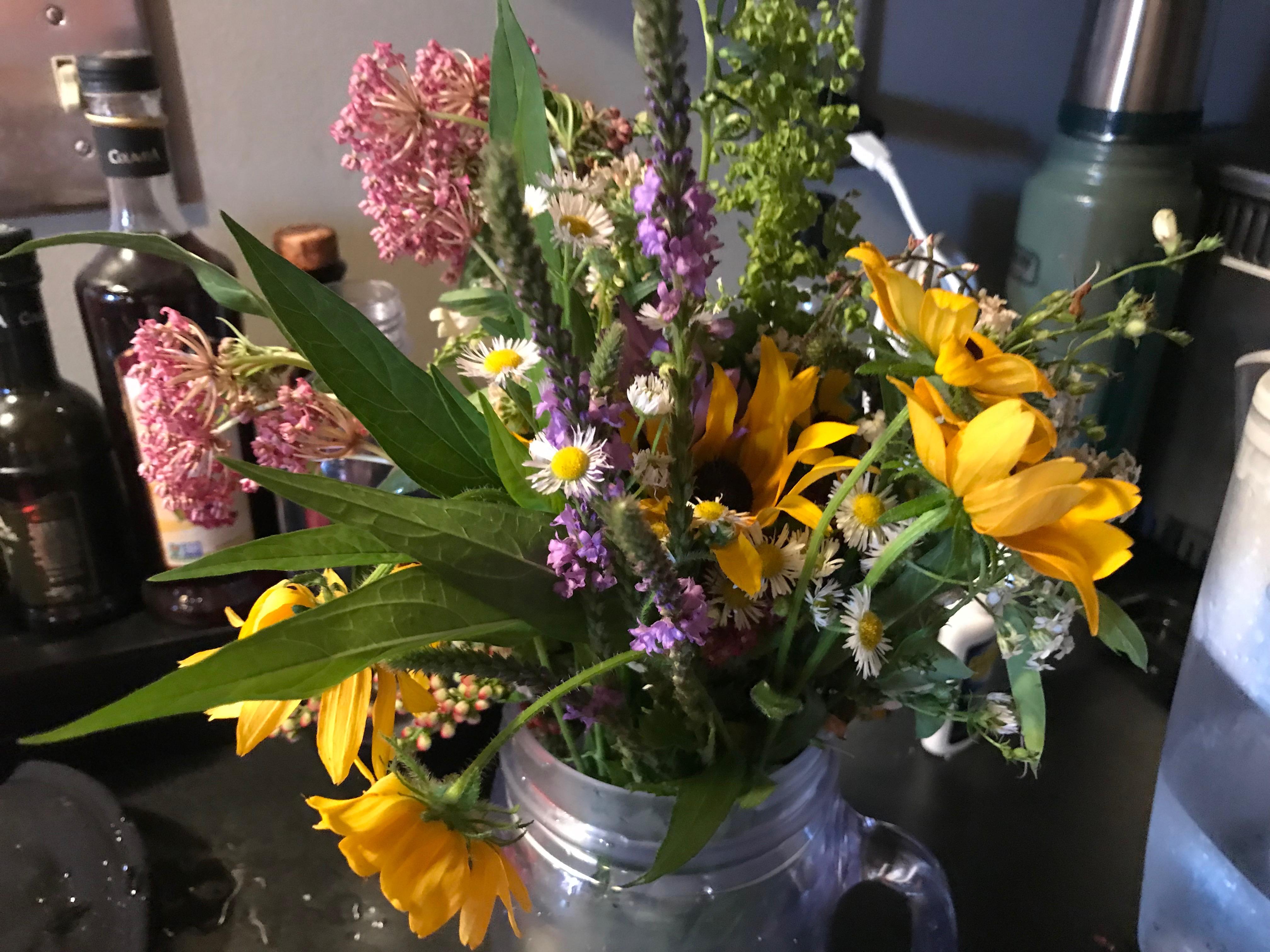 Minnesota's Wild Flowers are amazing | Scrolller