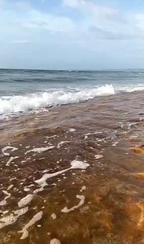 MMA Strawweight Meaghan Penning Scrolller