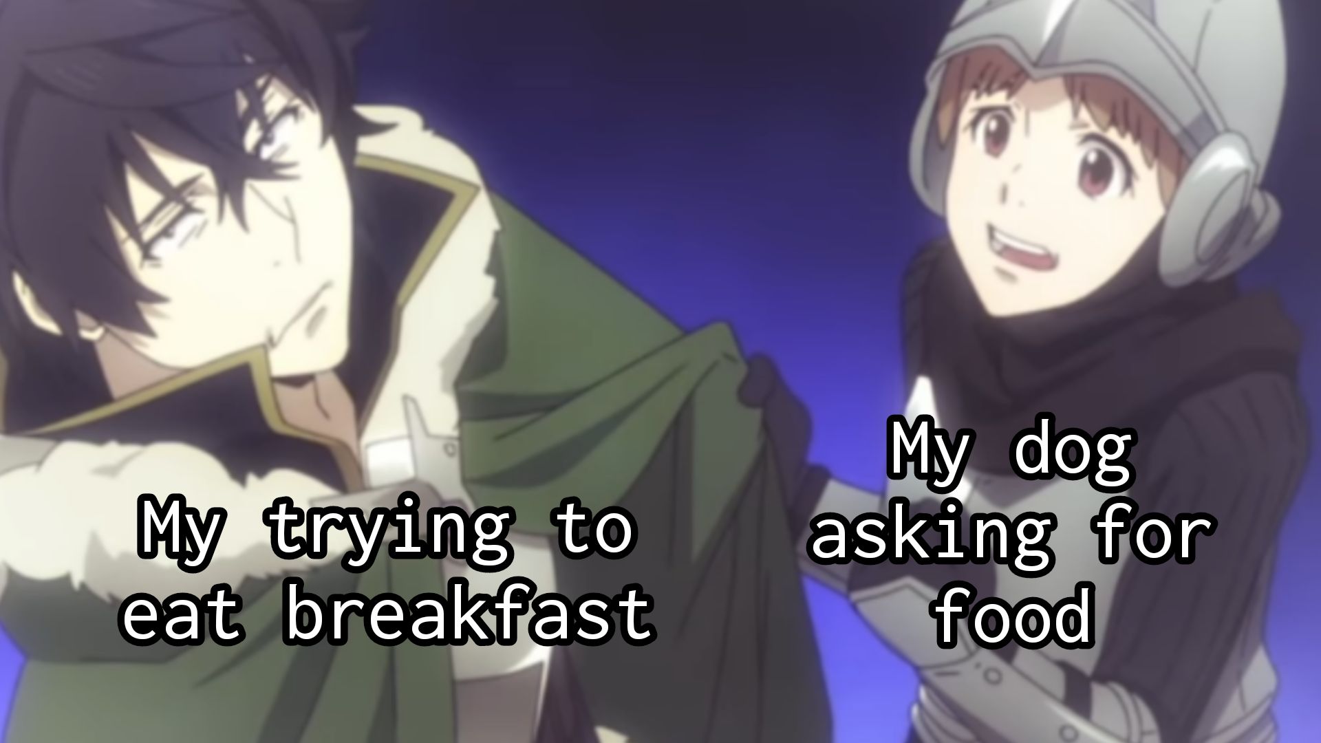 My Dog Only Wants To Eat My Food Scrolller