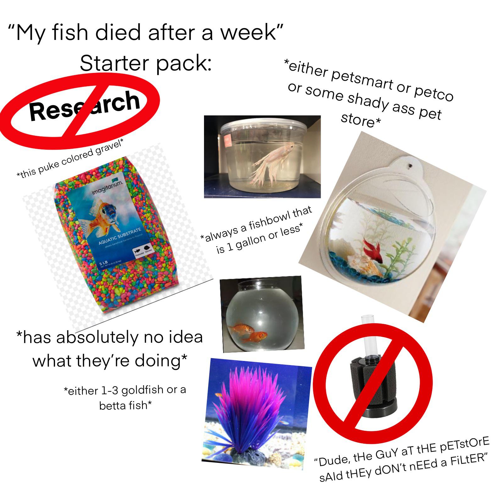 my-fish-died-after-a-week-starter-pack-scrolller