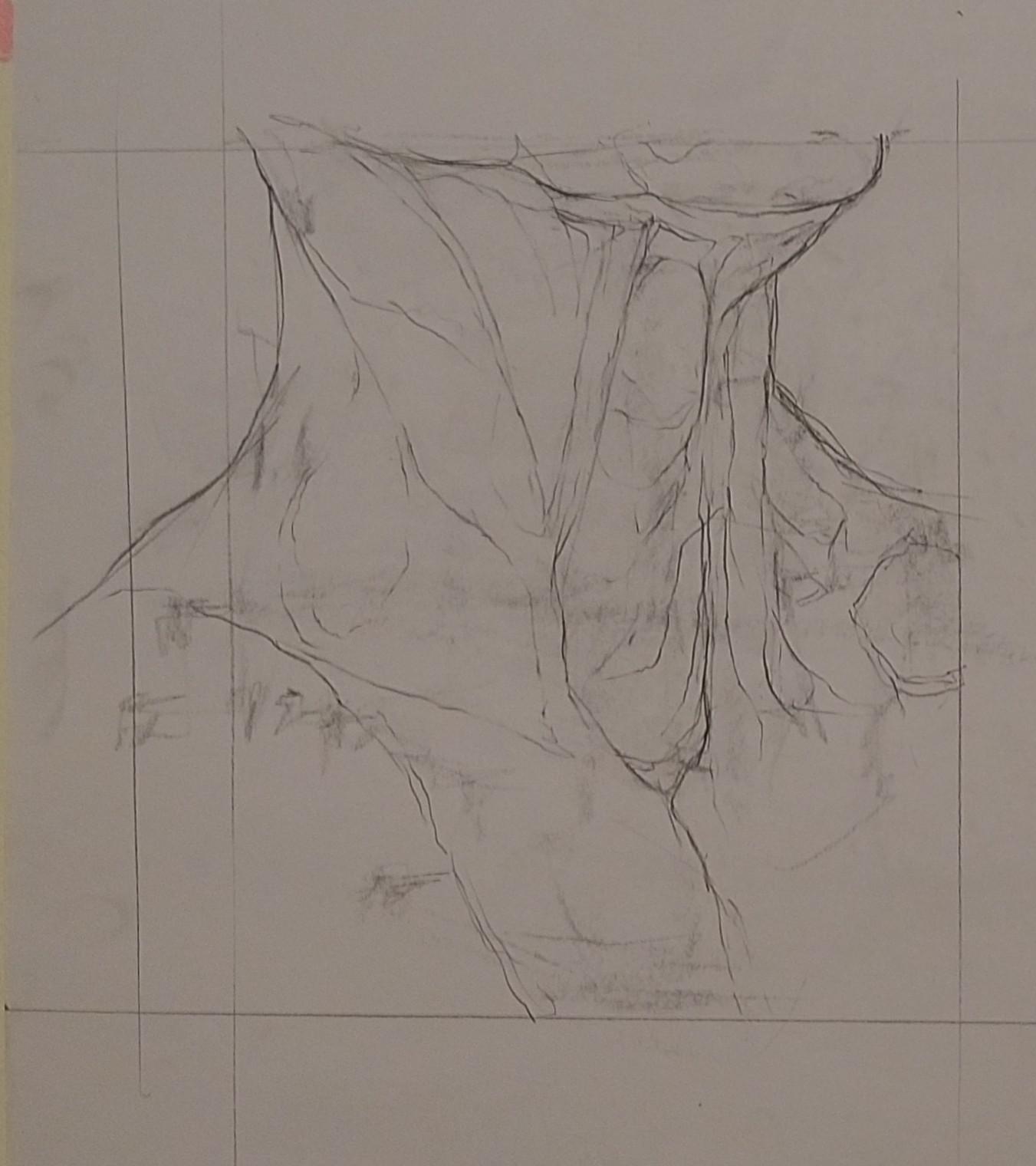 Neck Study Neck study | Scrolller