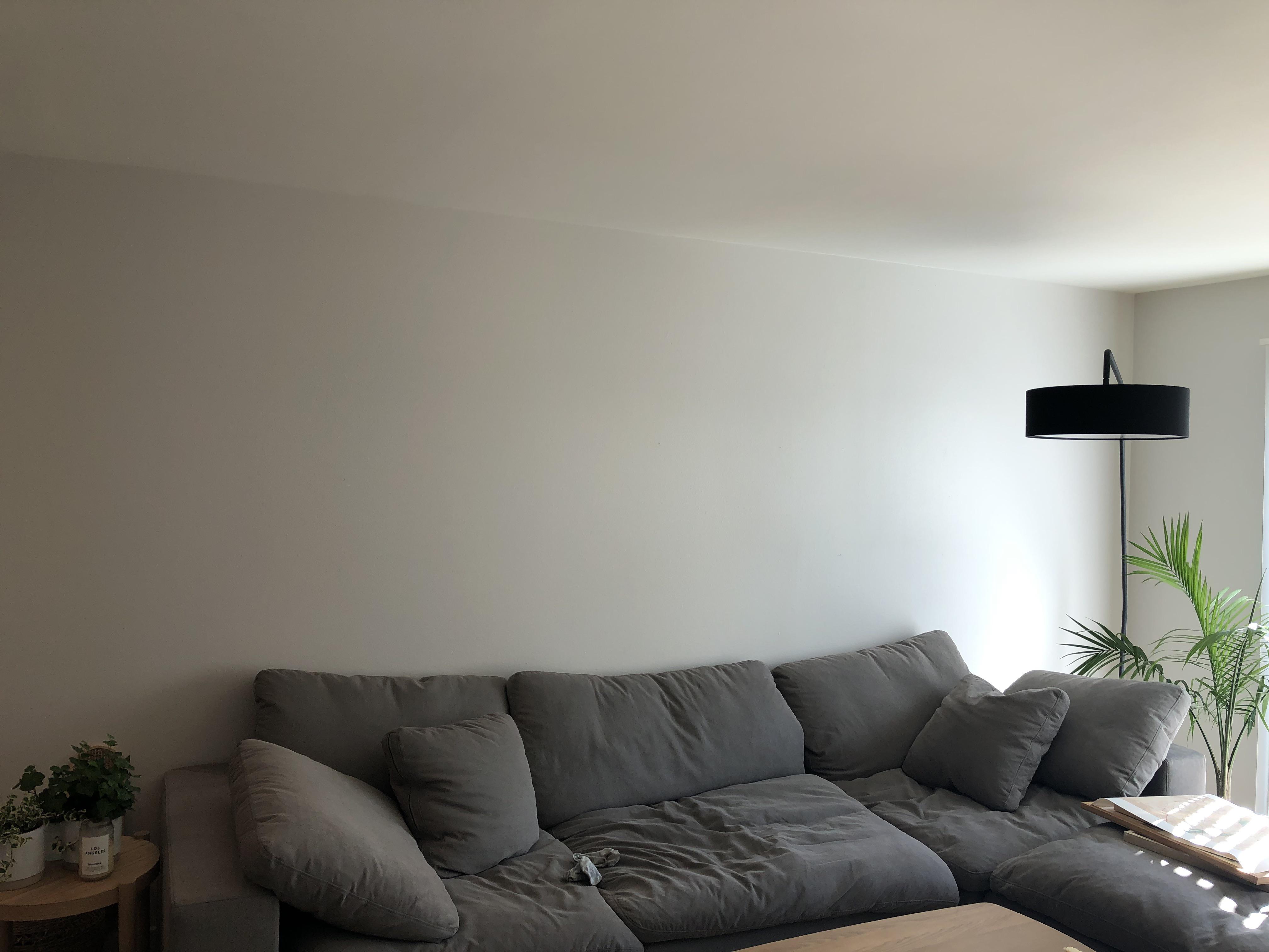 Need ideas on how to fill this huge wall space besides getting posters