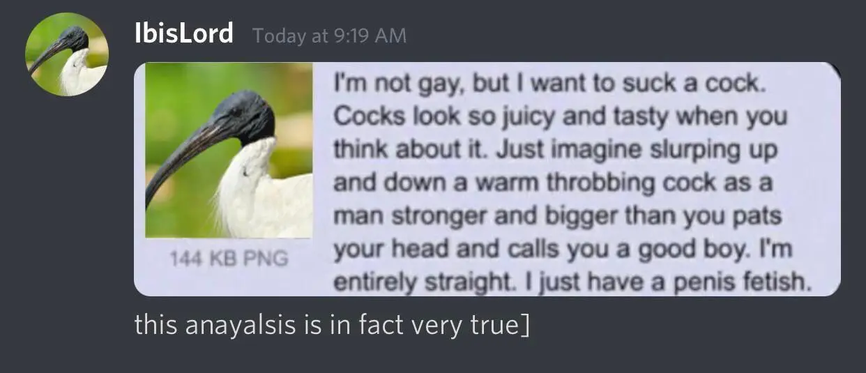 Not gay. Just has a penis fetish.