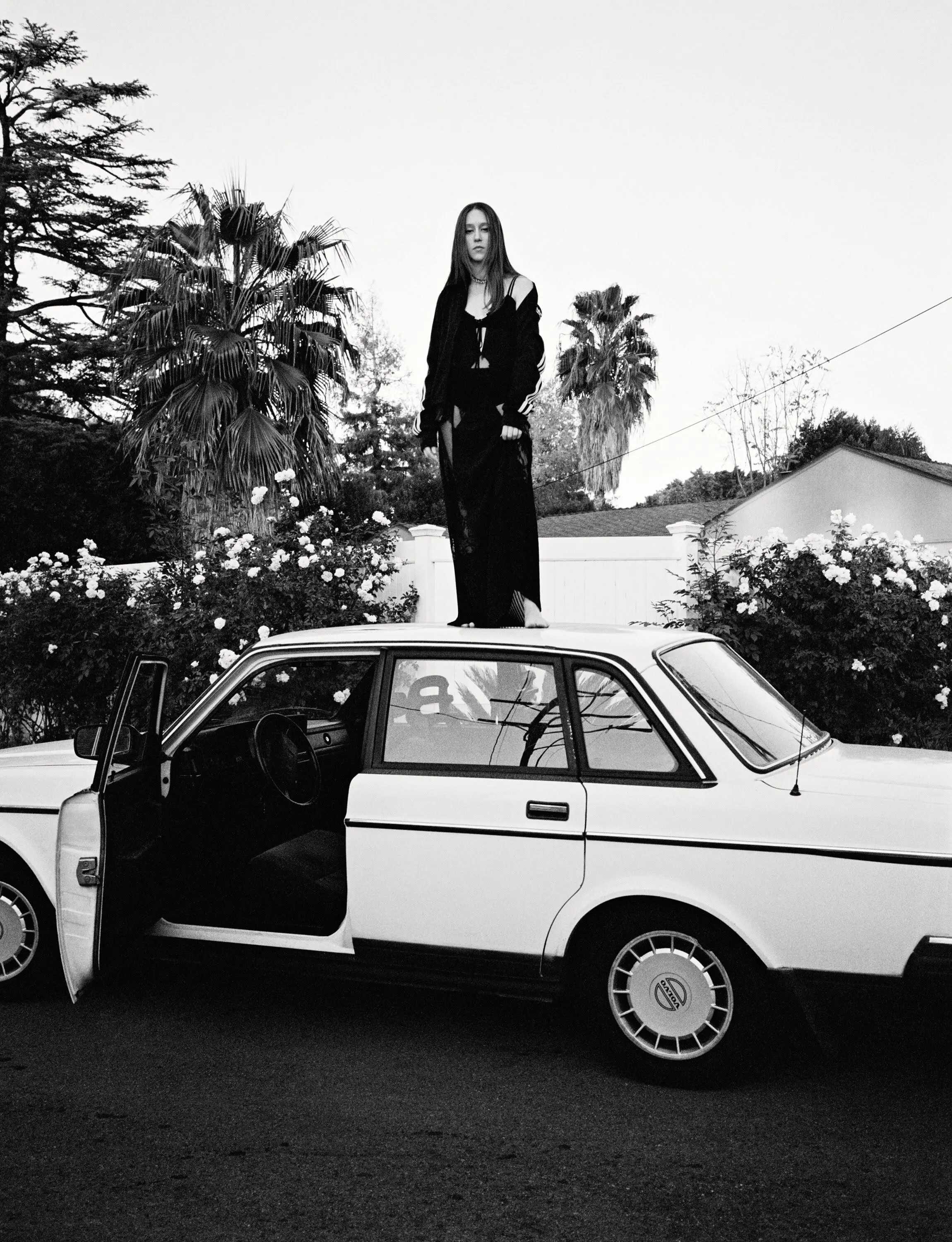 On a car | Scrolller