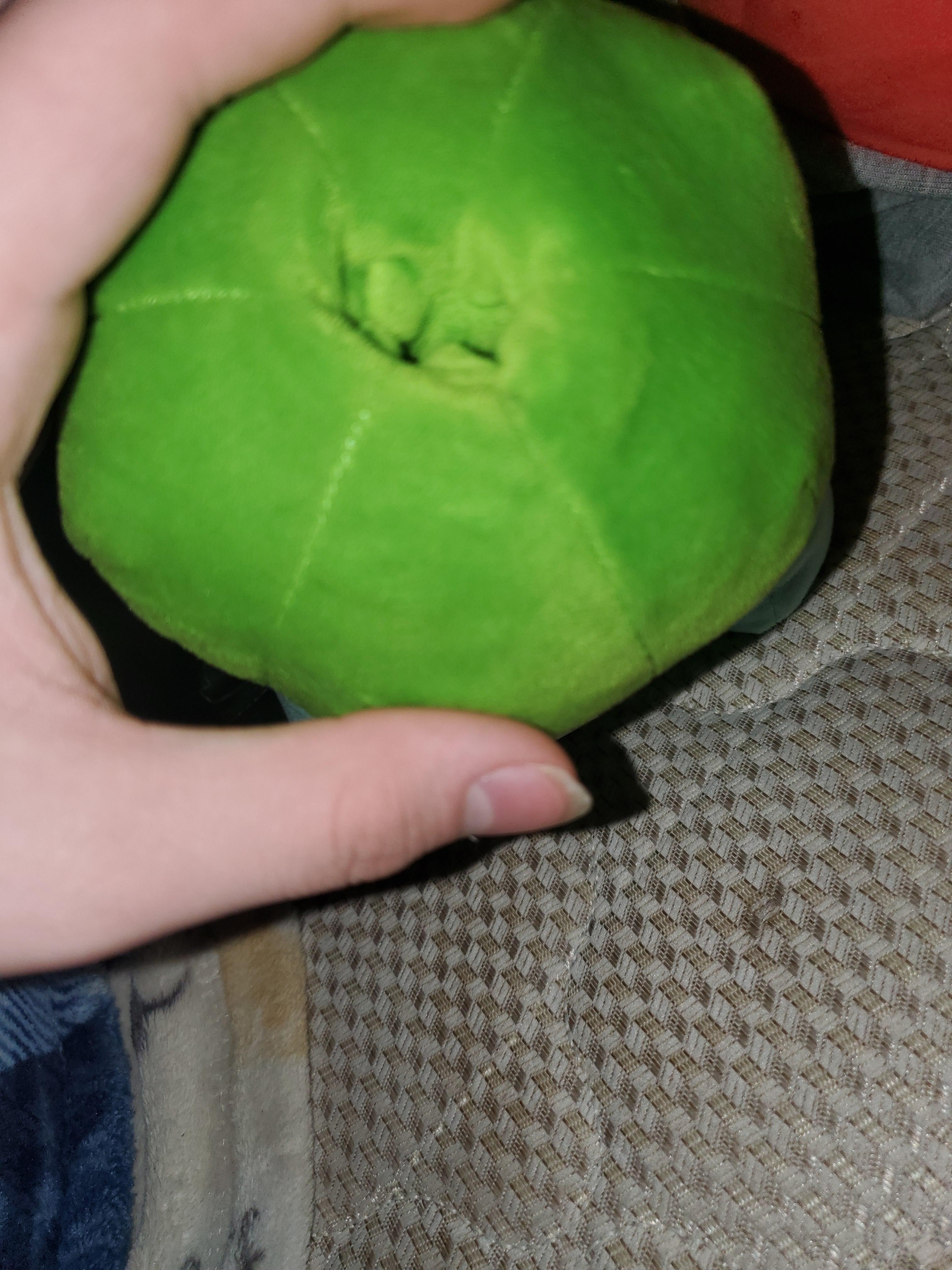 on-the-bulb-if-my-bulbasaur-plushie-scrolller