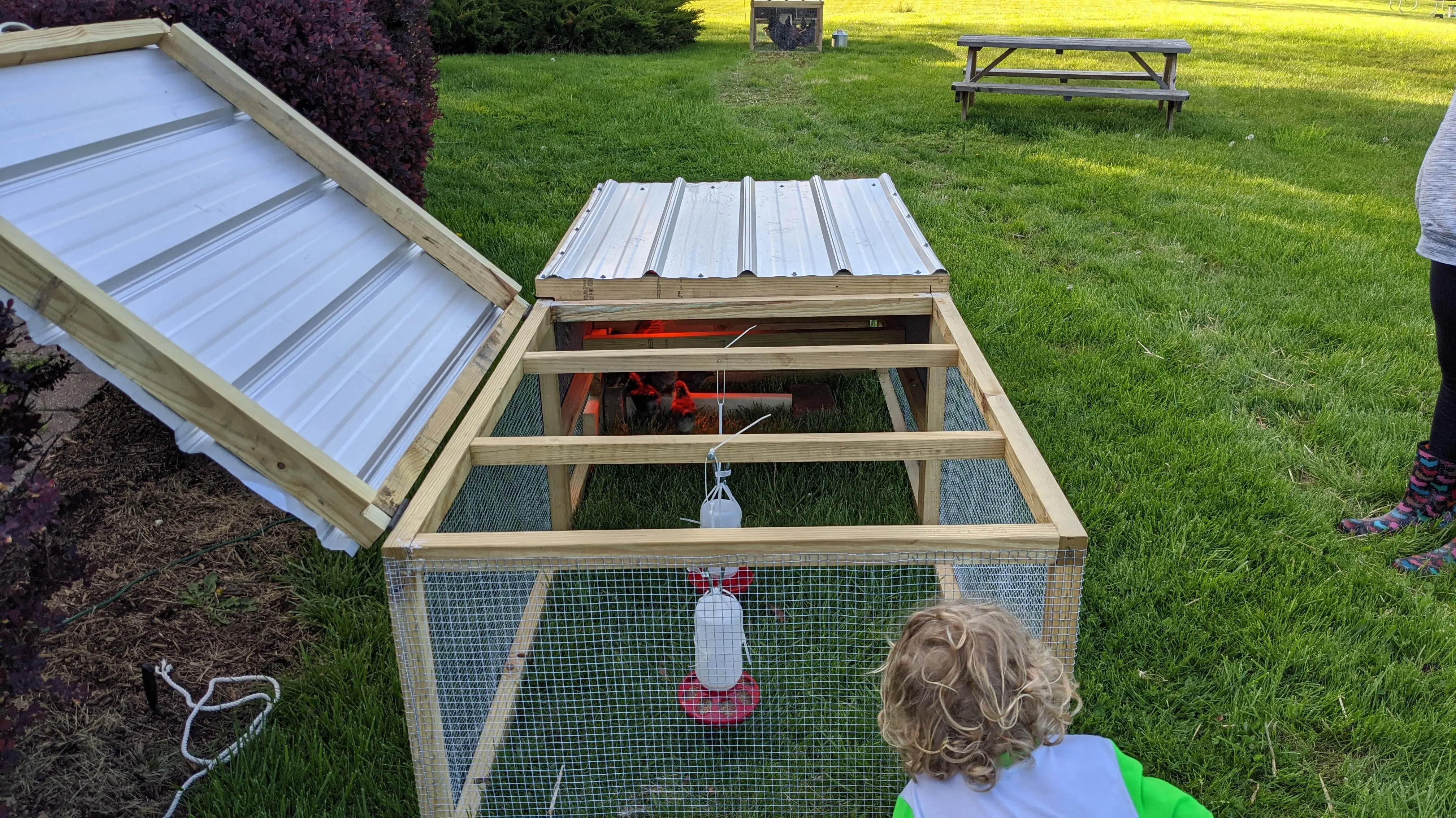 One Day Build One Day Build - Broiler tractor v2.0 | Scrolller