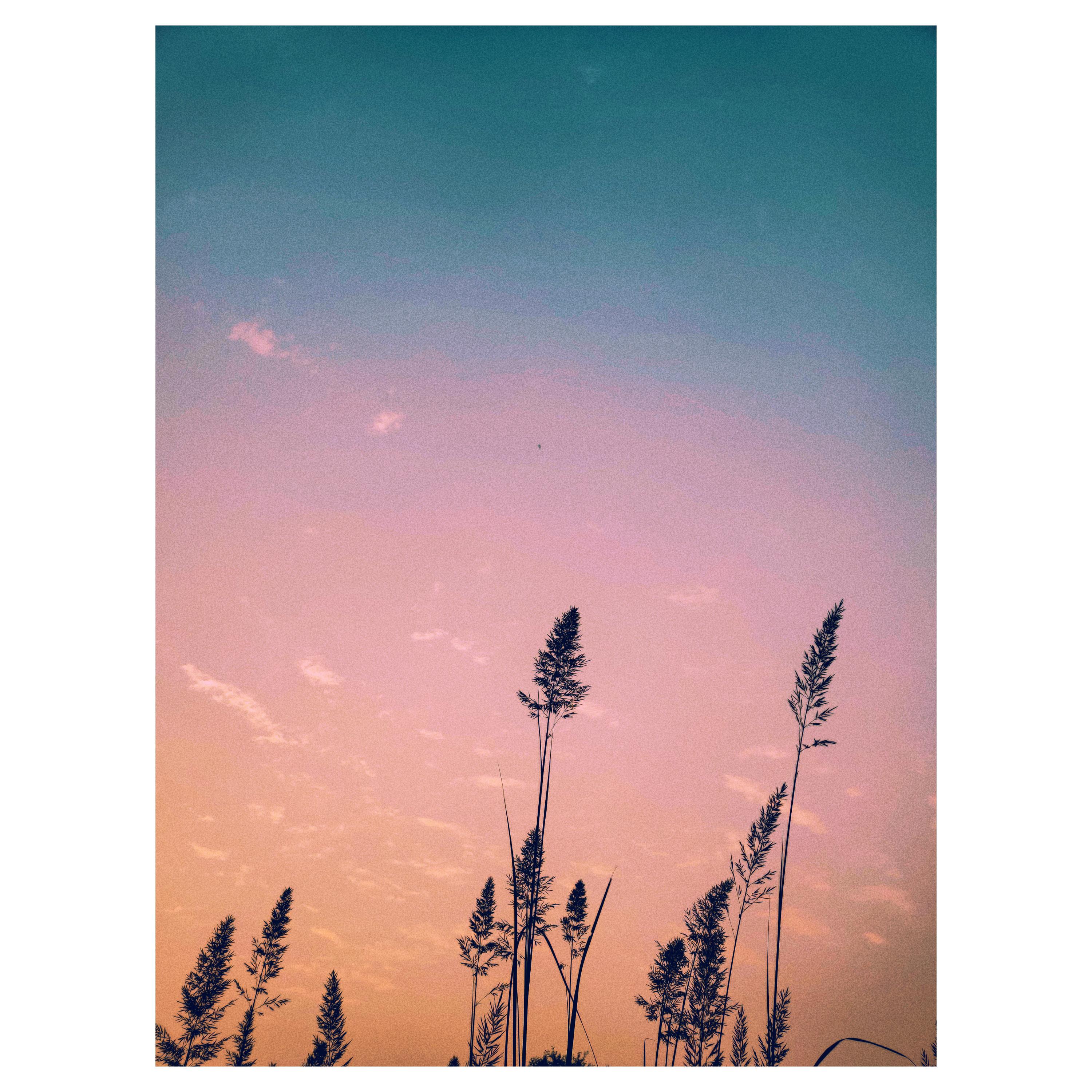 one-plus-7-pro-vsco-x-scrolller