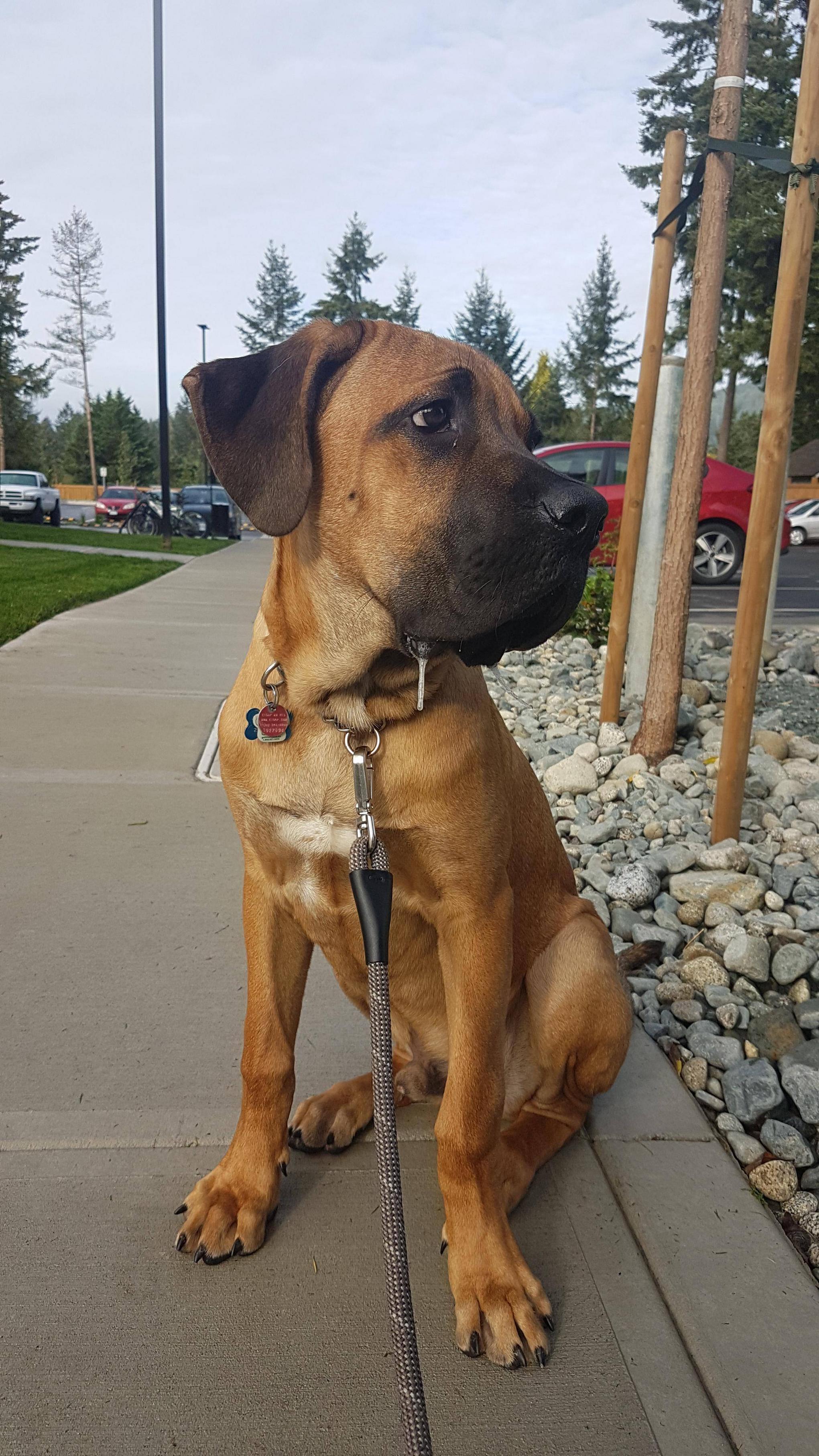 Our Six Month Old Potato Scrolller