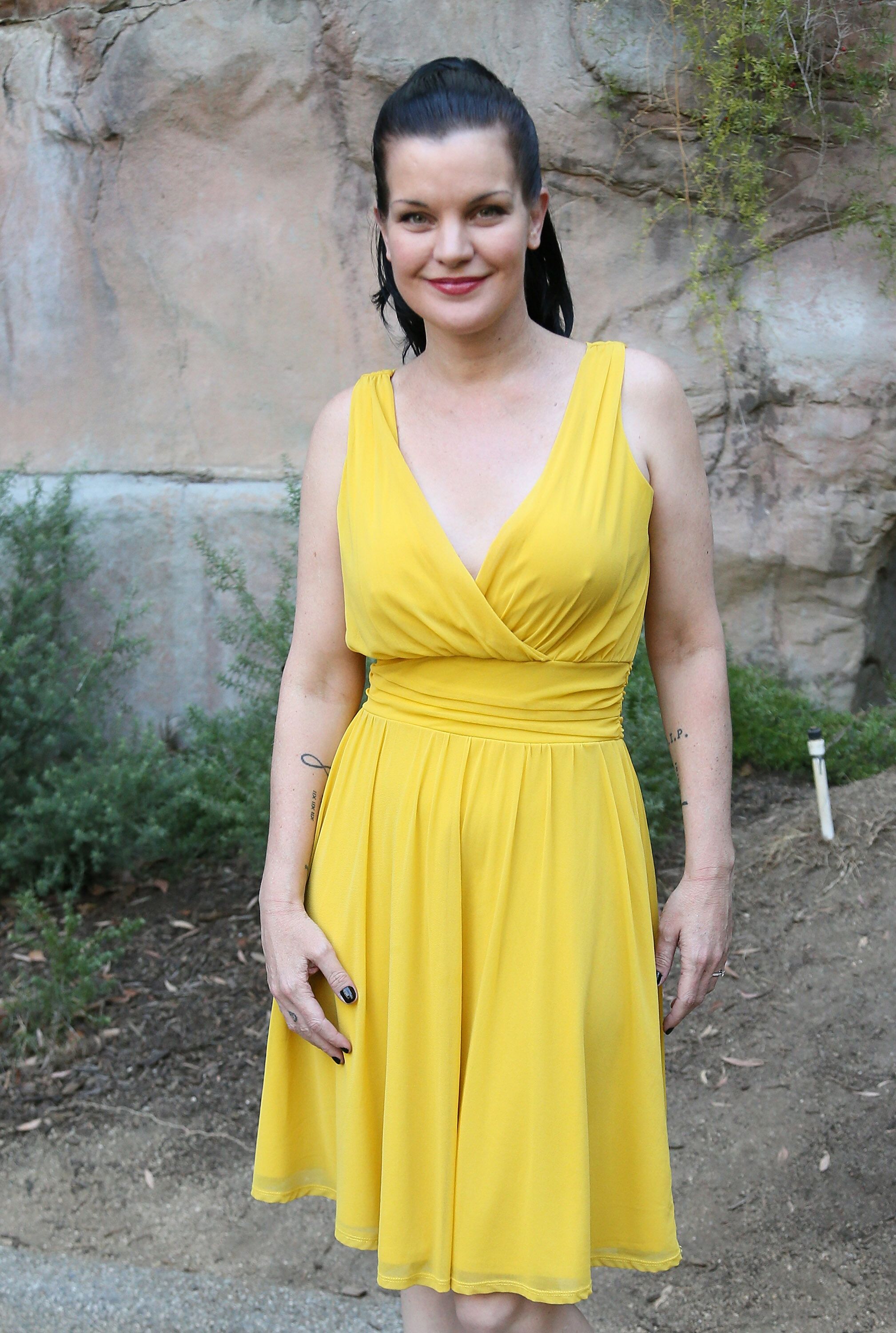 Pauley Perrette'S Powerful X Message - nw81h5x