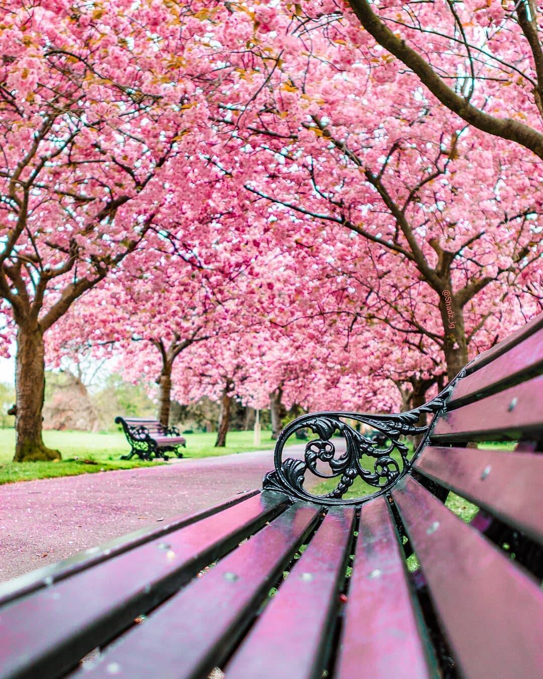 Spring in London | Scrolller