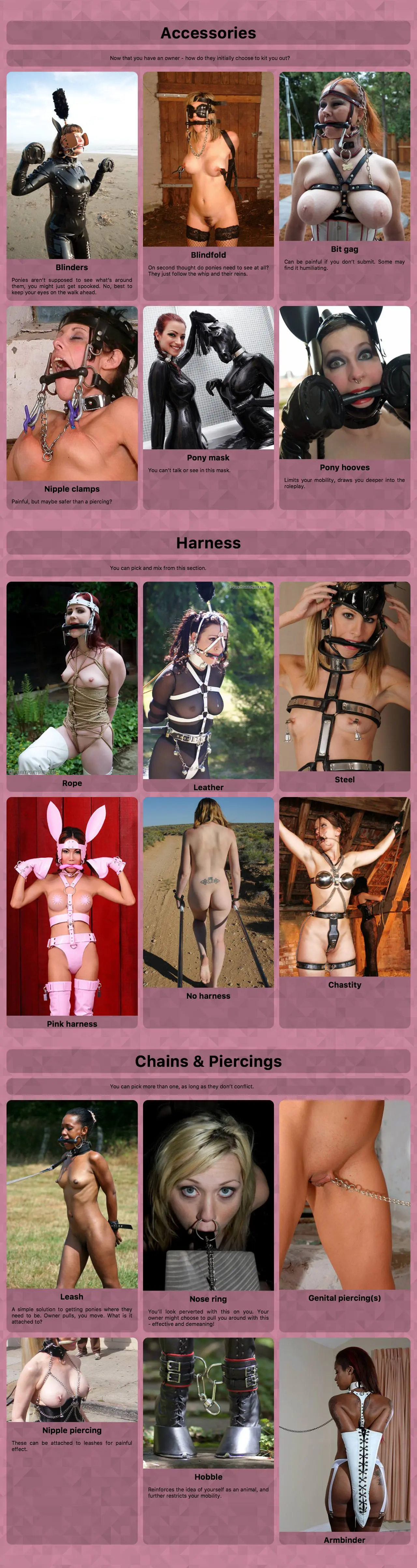 Ponygirl CYOA character sheet for Penguin, a slim blonde woman in lingerie, collars, and harnesses