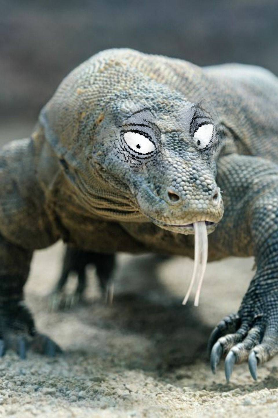 Poorly editing beastar characters on their irl counterparts day 9 ...